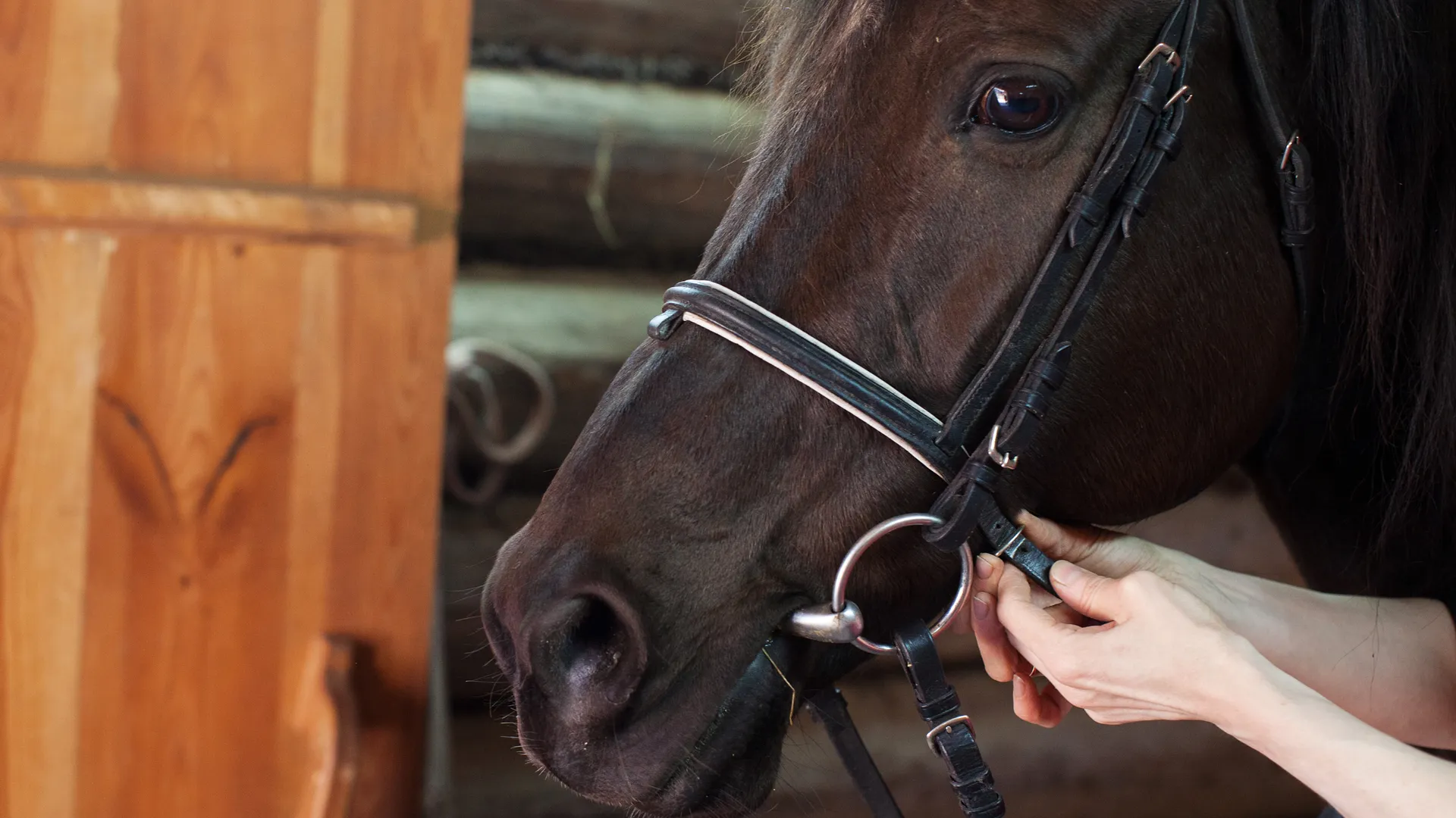 Медиасток.рф