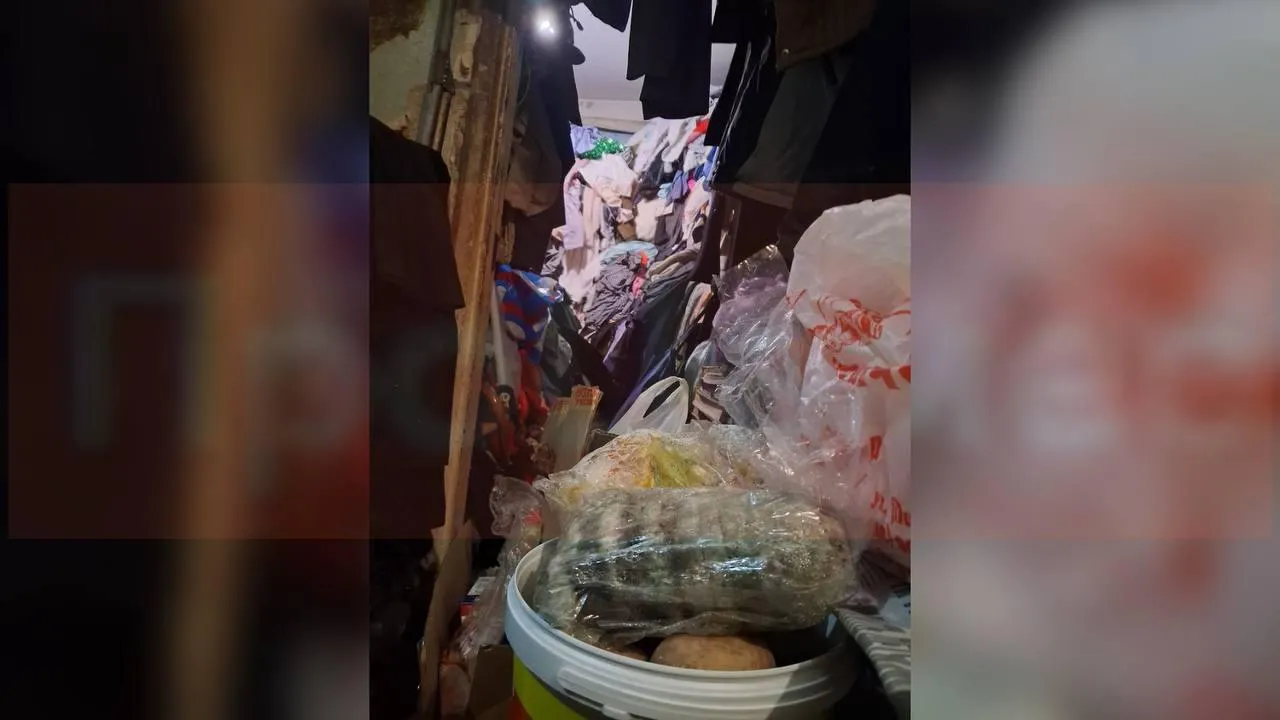 предоставлено собеседницей