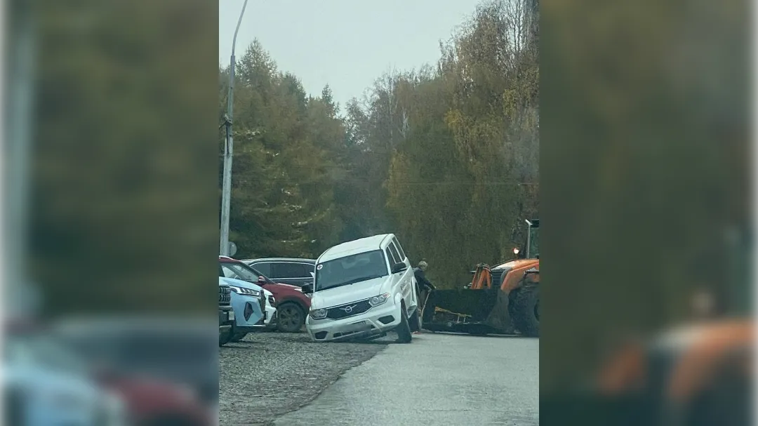 Картинка