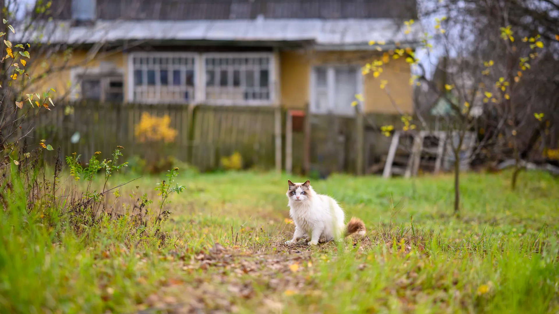 Медиасток.рф