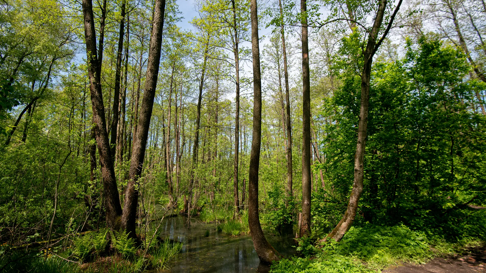 Медиасток.рф