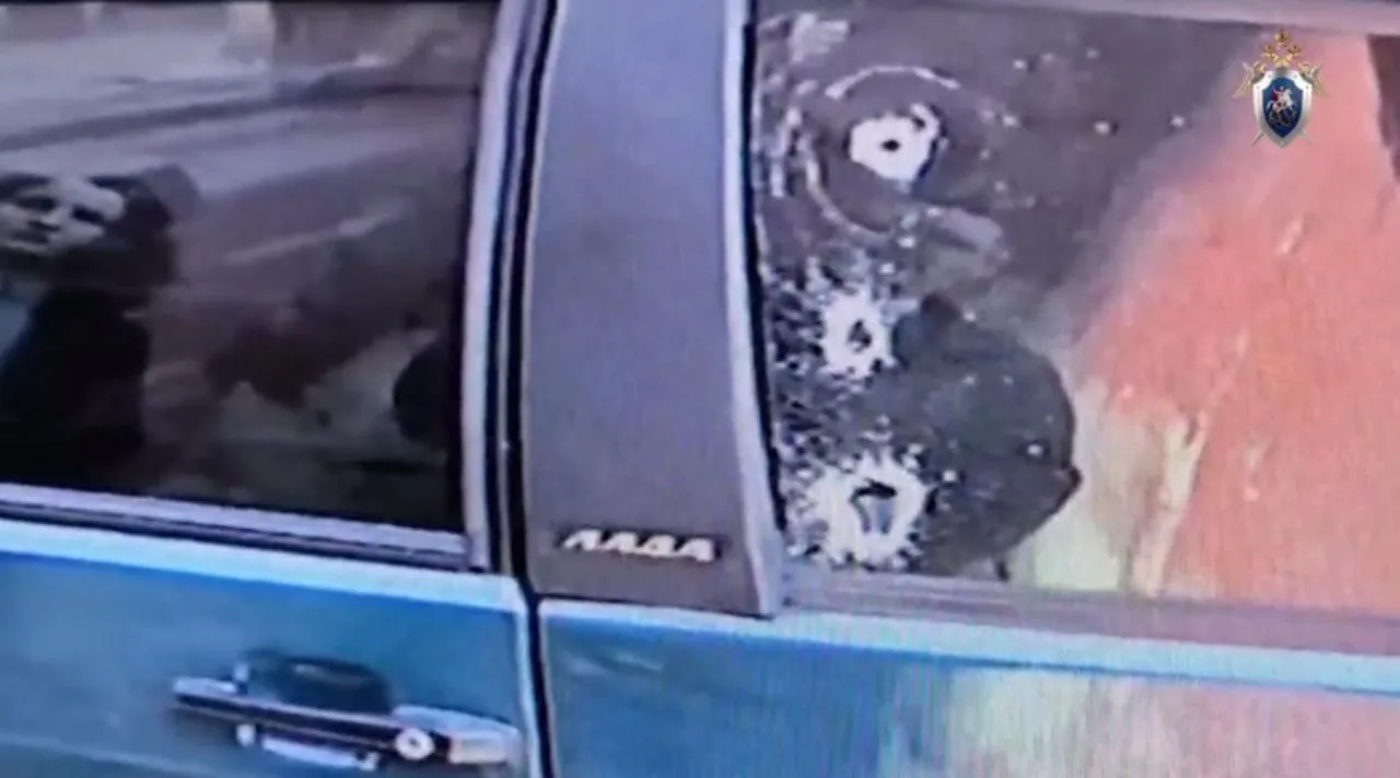 Следственный комитет РФ / Скриншот видео