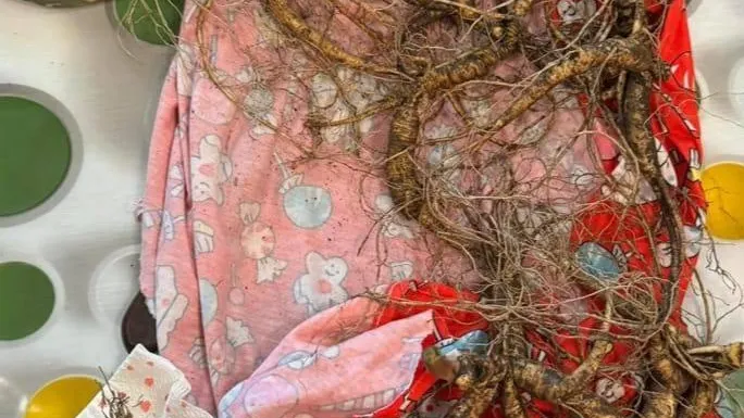 Пресс-служба прокуратуры Хабаровского края