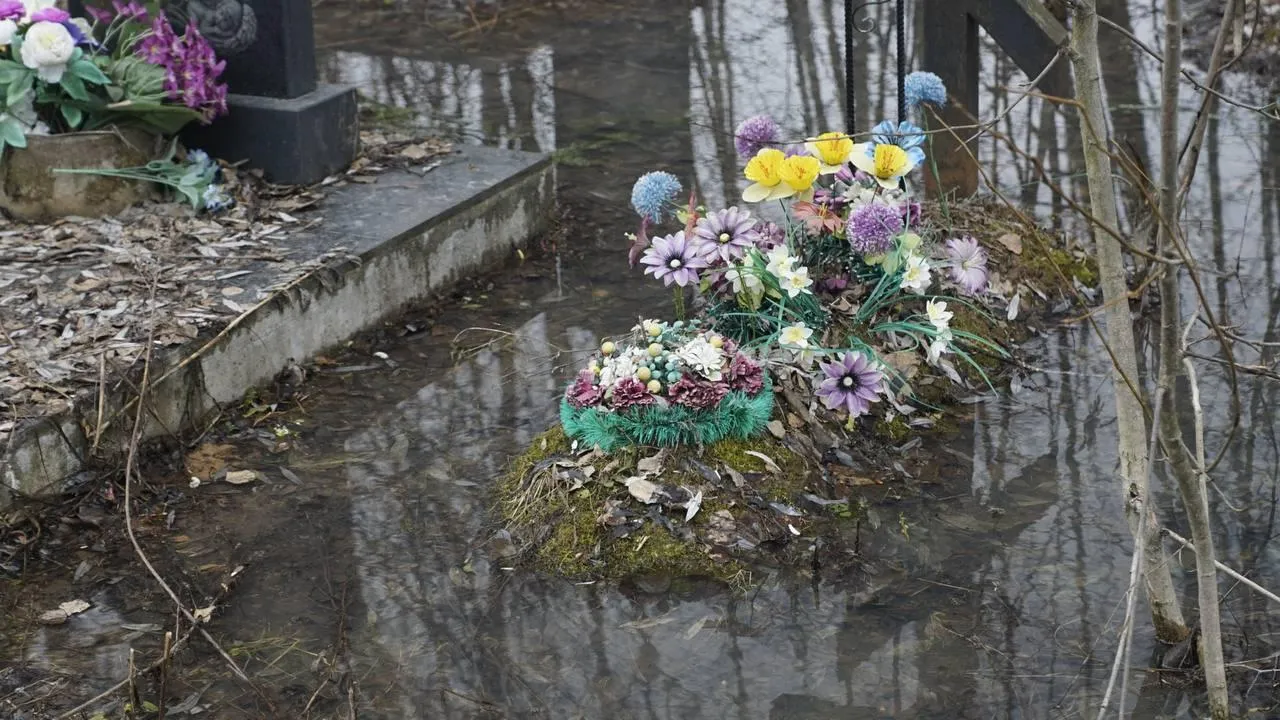 Самосыровское кладбище. «Челны Live» \ Екатерина Волкова