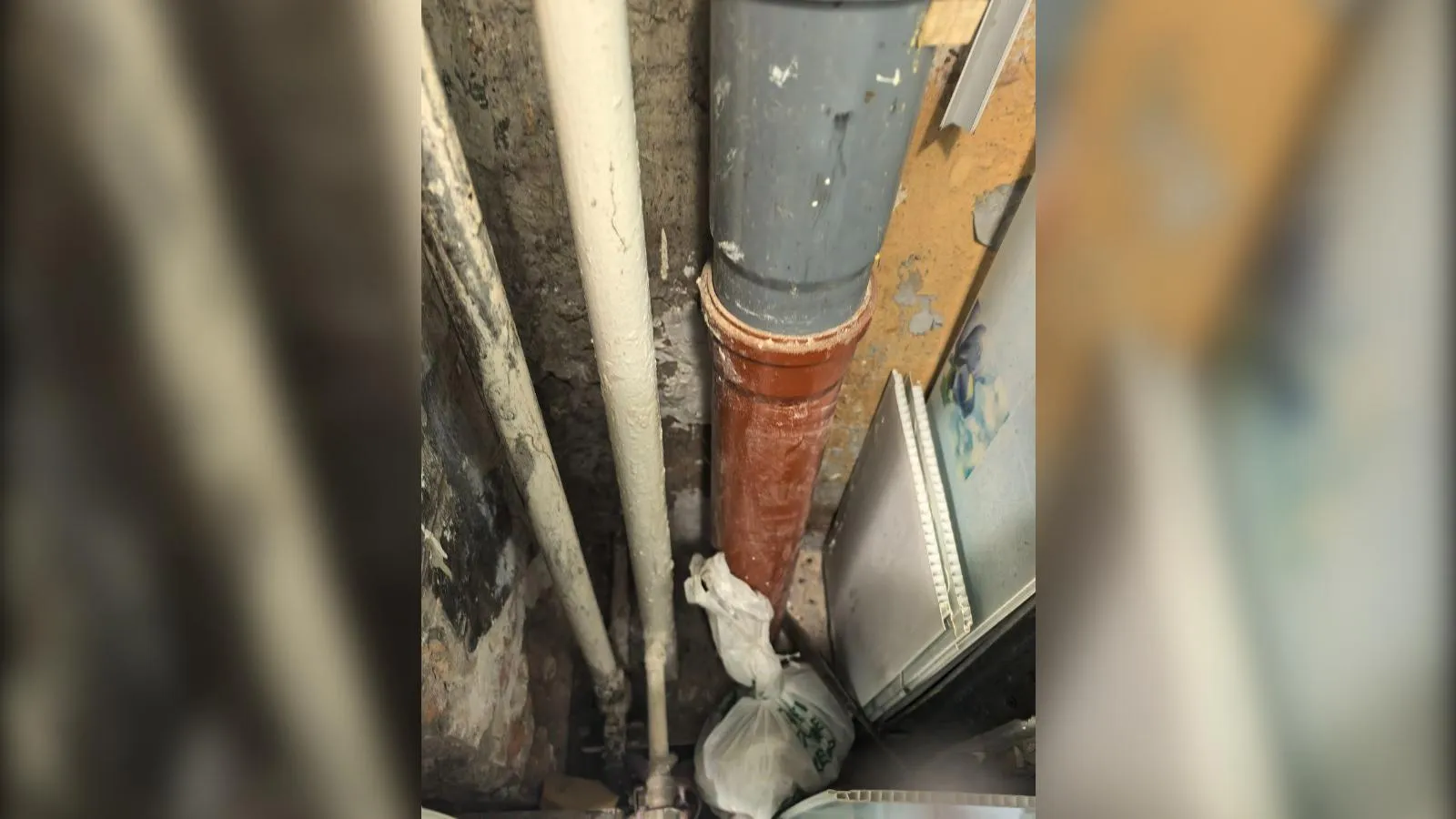 предоставлено собеседницей