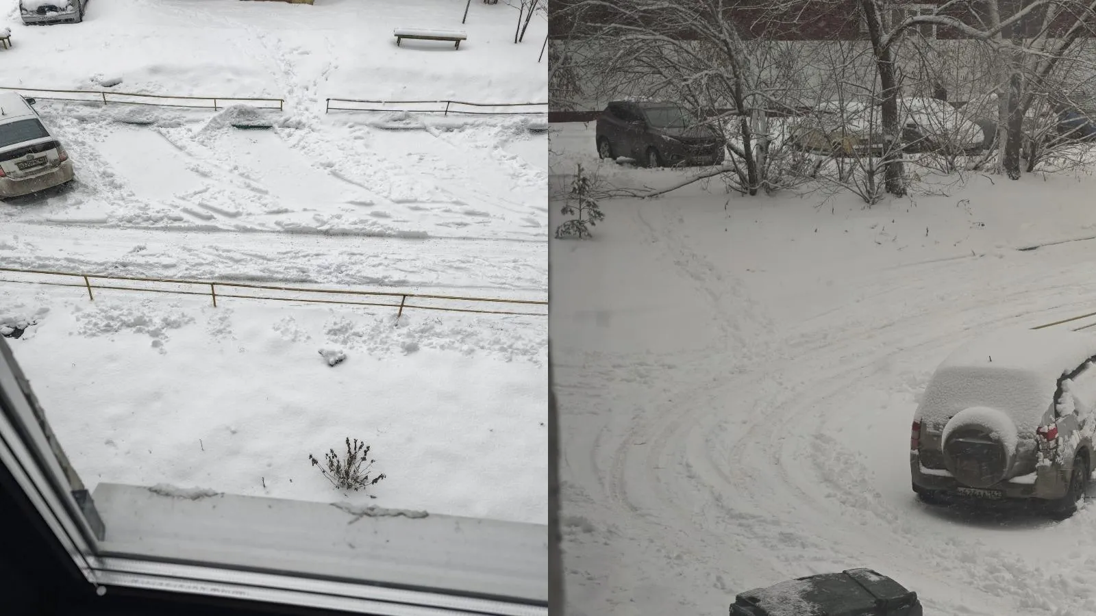 предоставлено собеседником