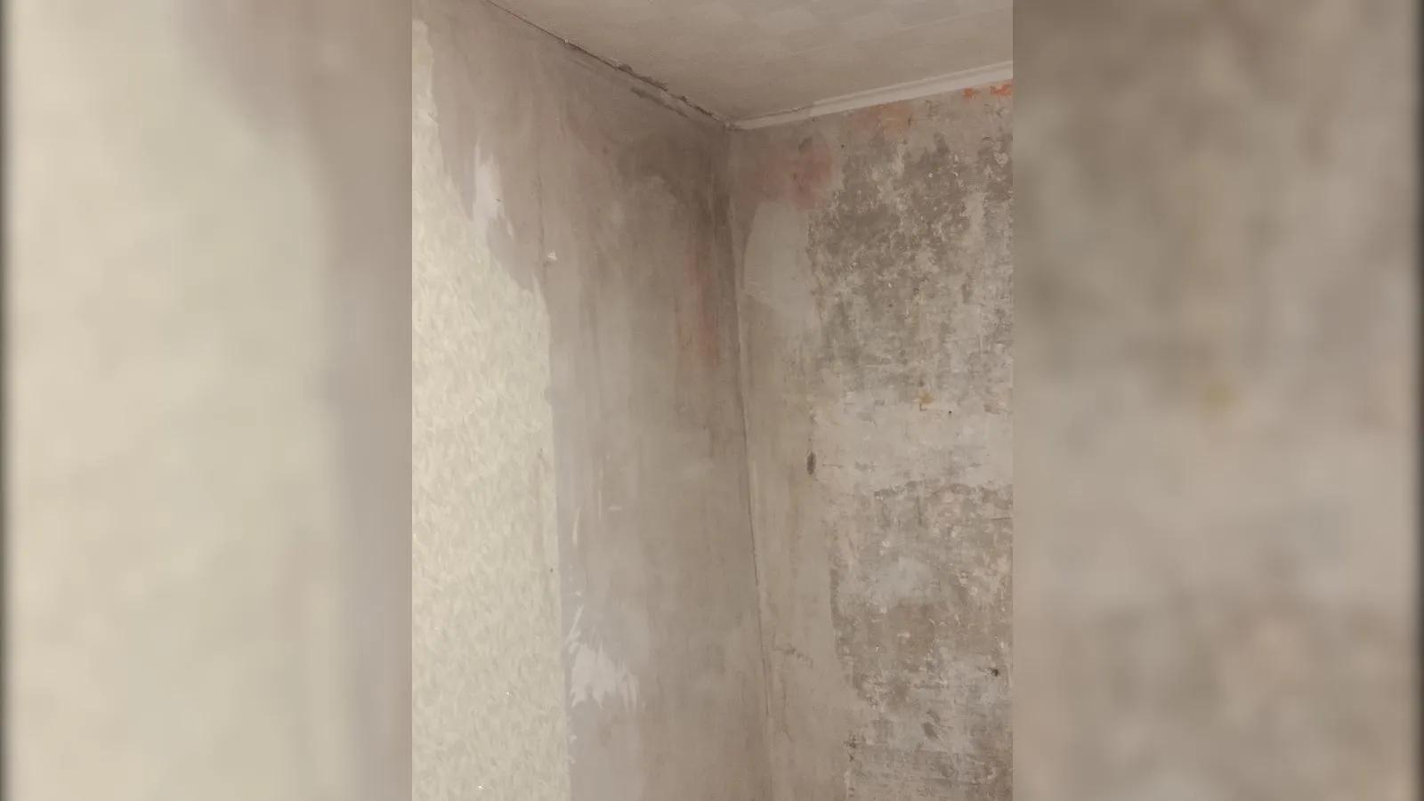 предоставлено собеседником