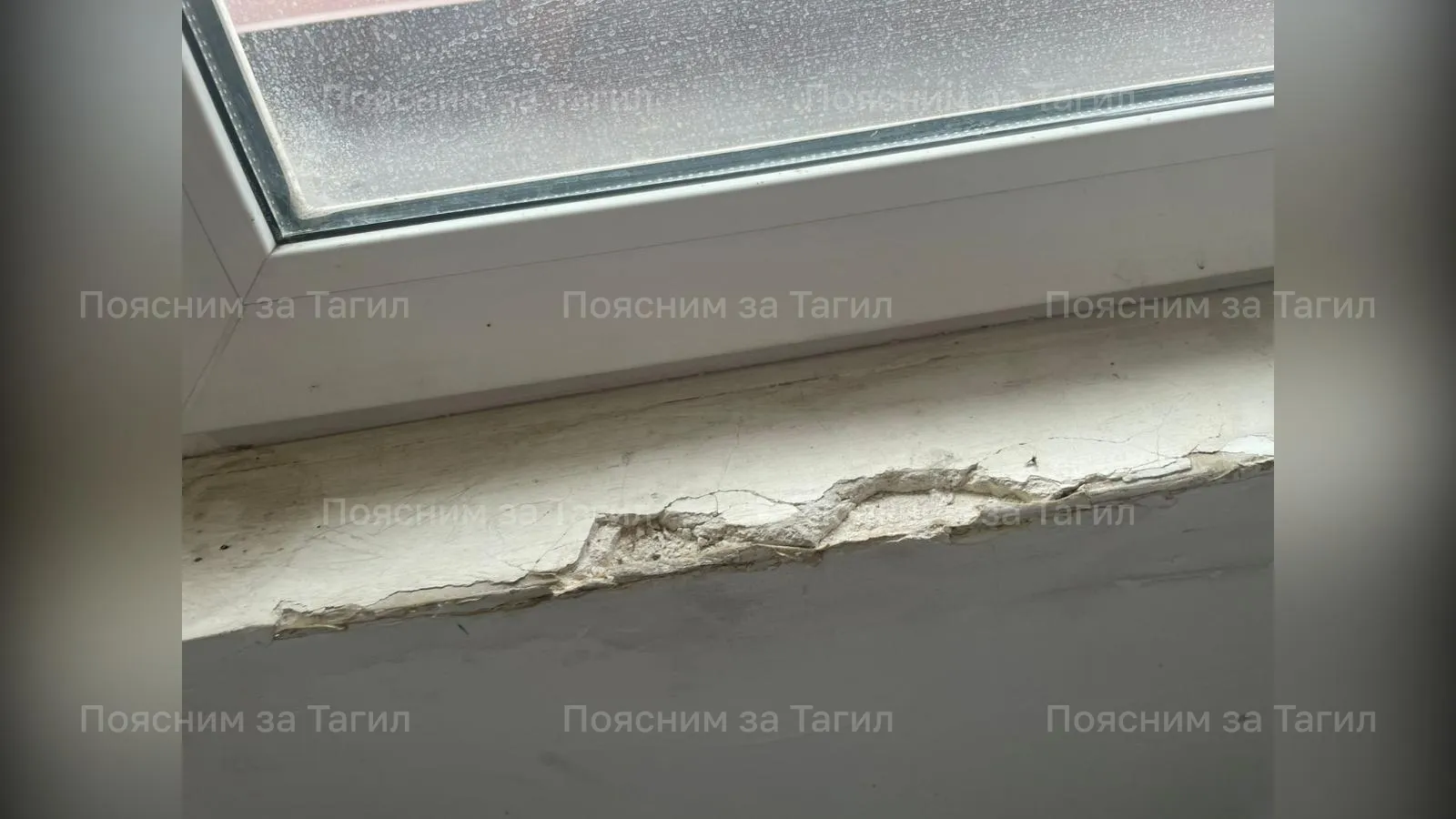 предоставлено собеседницей