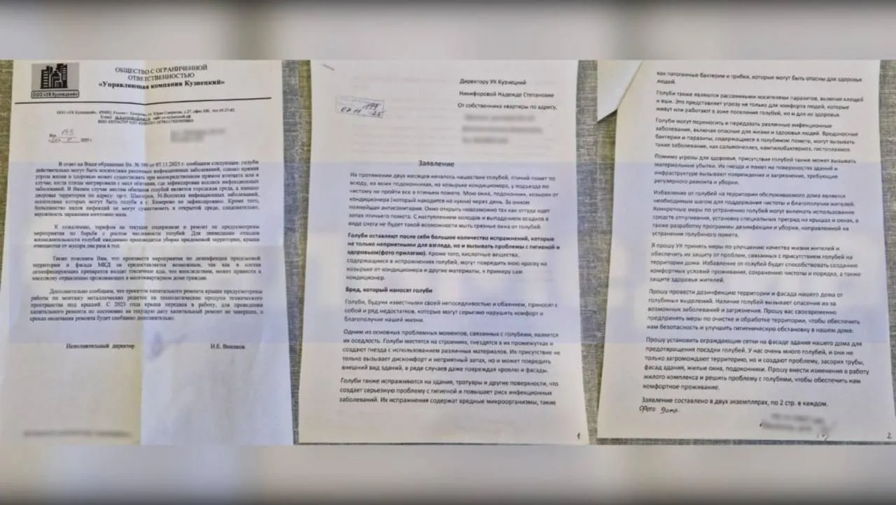 предоставлено собеседницей