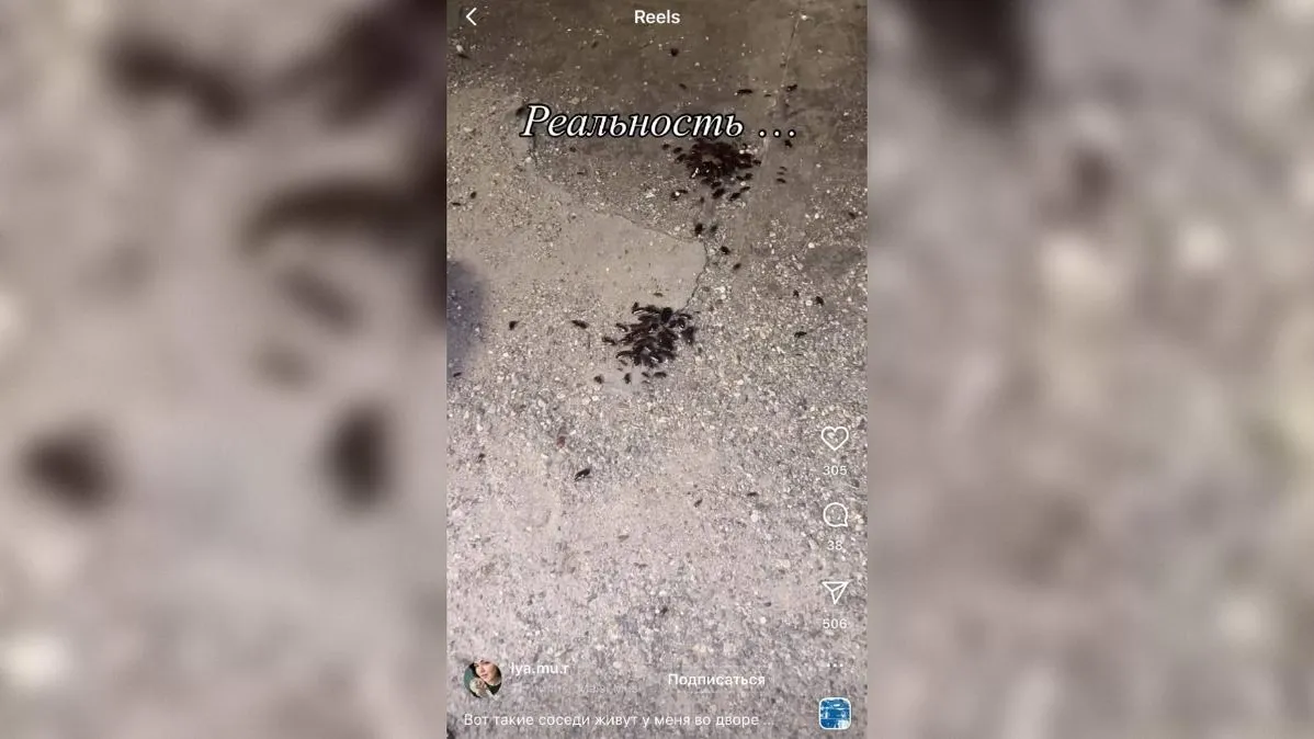 lya.mu.r / Instagram принадлежит компании Meta, деятельность которой признана экстремистской и запрещена в РФ