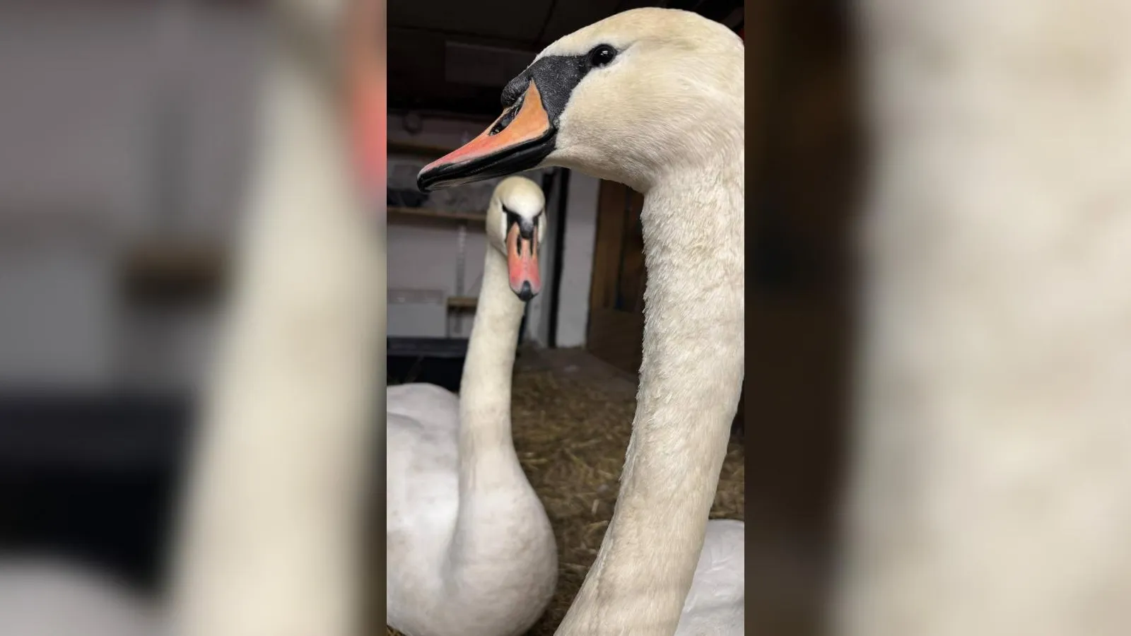 минэкологии РТ