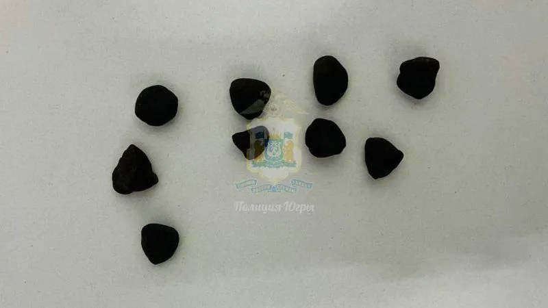 Пресс-служба полиции Югры