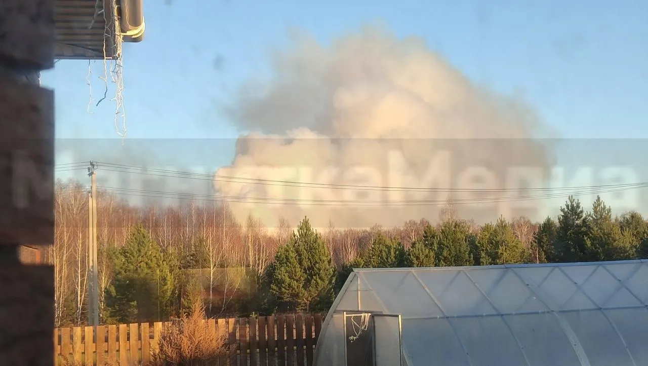 предоставлено собеседницей