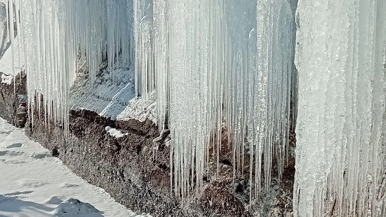 пресс-службы заповедного управления Прибайкалья.
