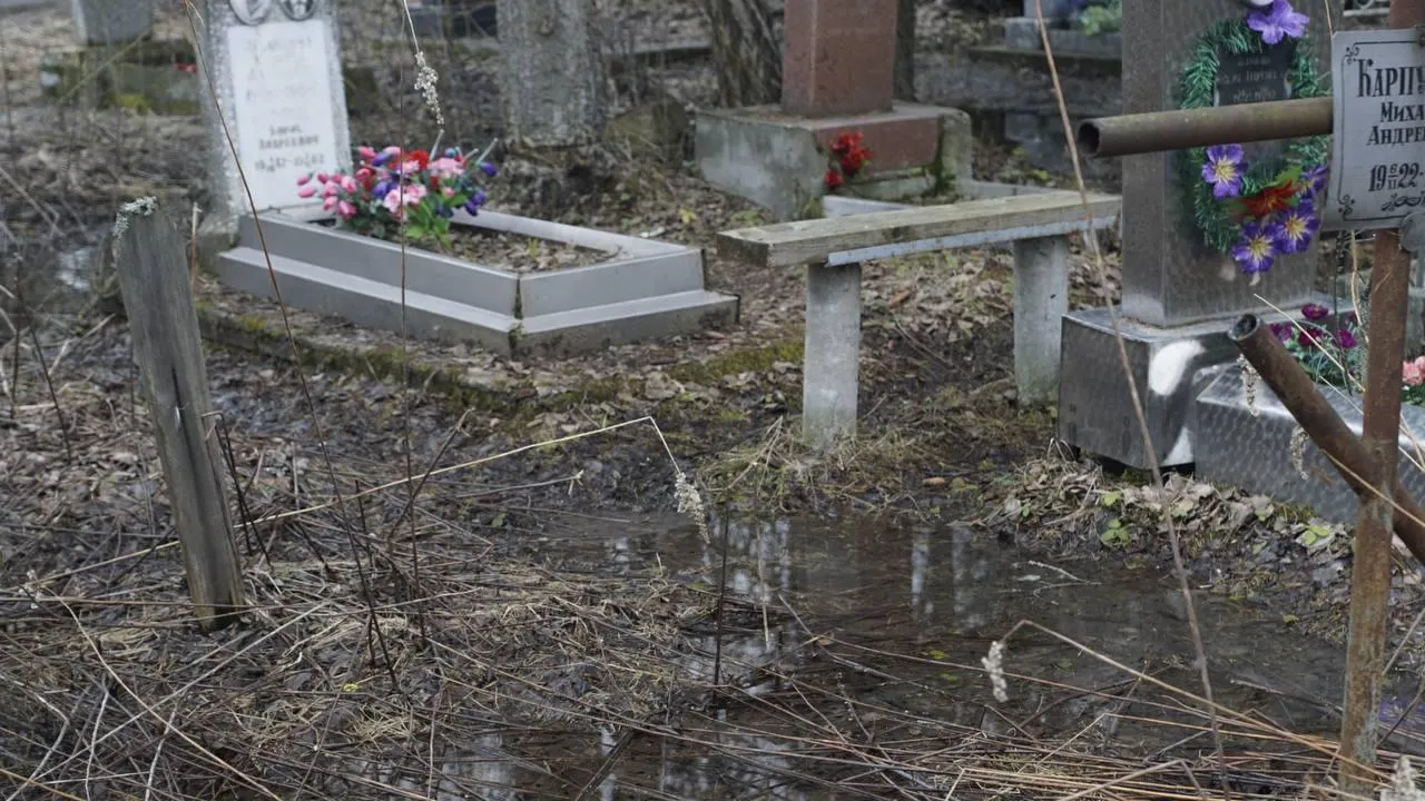 Самосыровское кладбище. «Челны Live» \ Екатерина Волкова