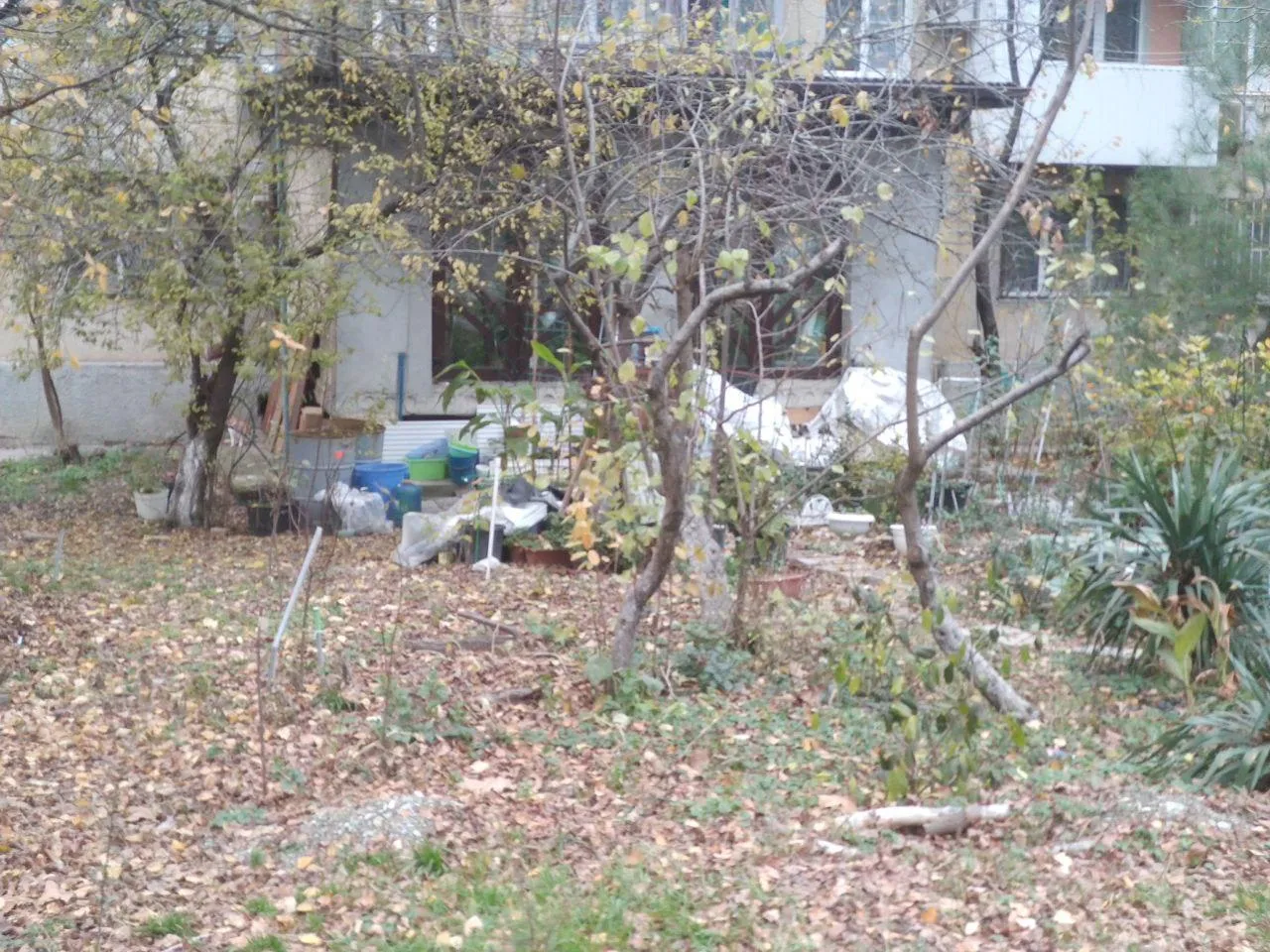 предоставлено собеседником