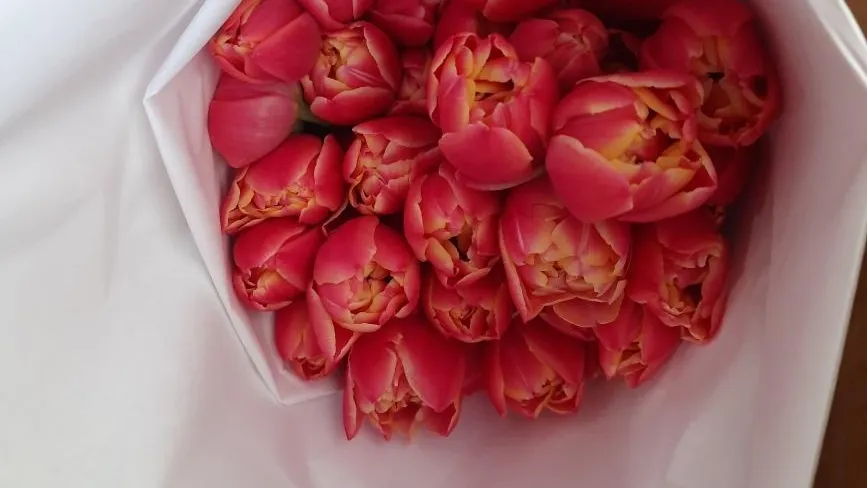 Пресс-служба приморского межрегионального управления РСХН