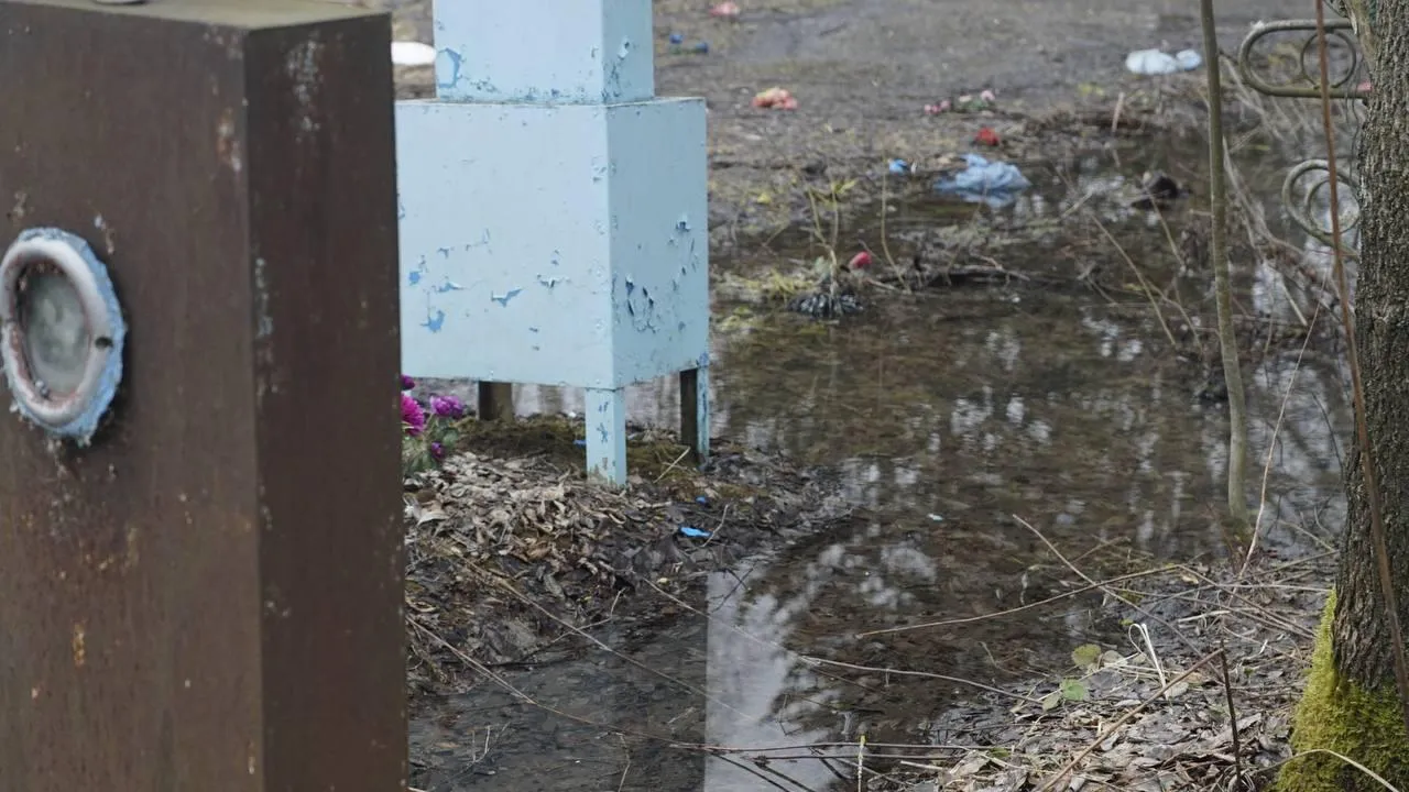 Самосыровское кладбище. «Челны Live» \ Екатерина Волкова