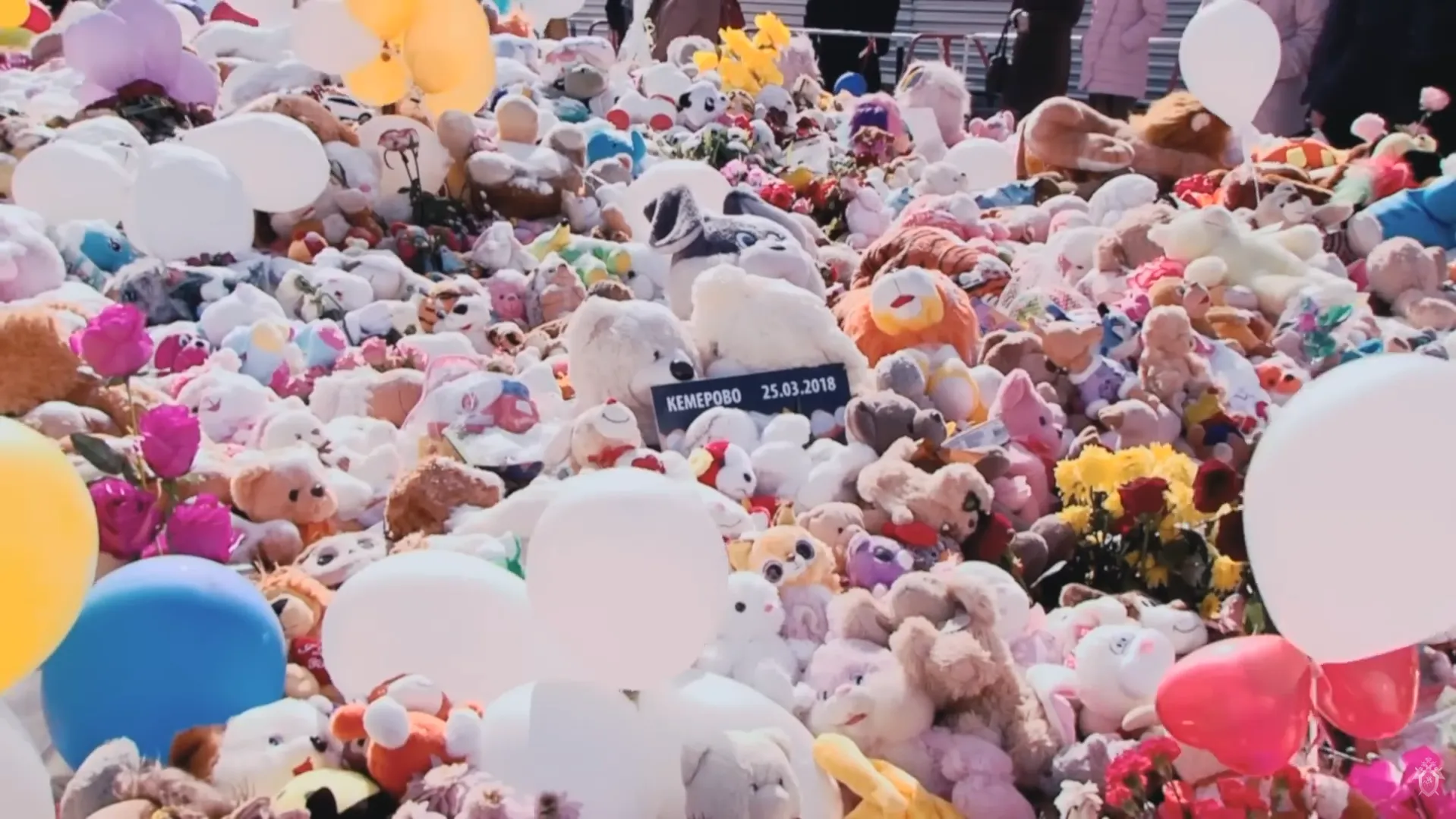 кадр видео пресс-службы Следкома РФ