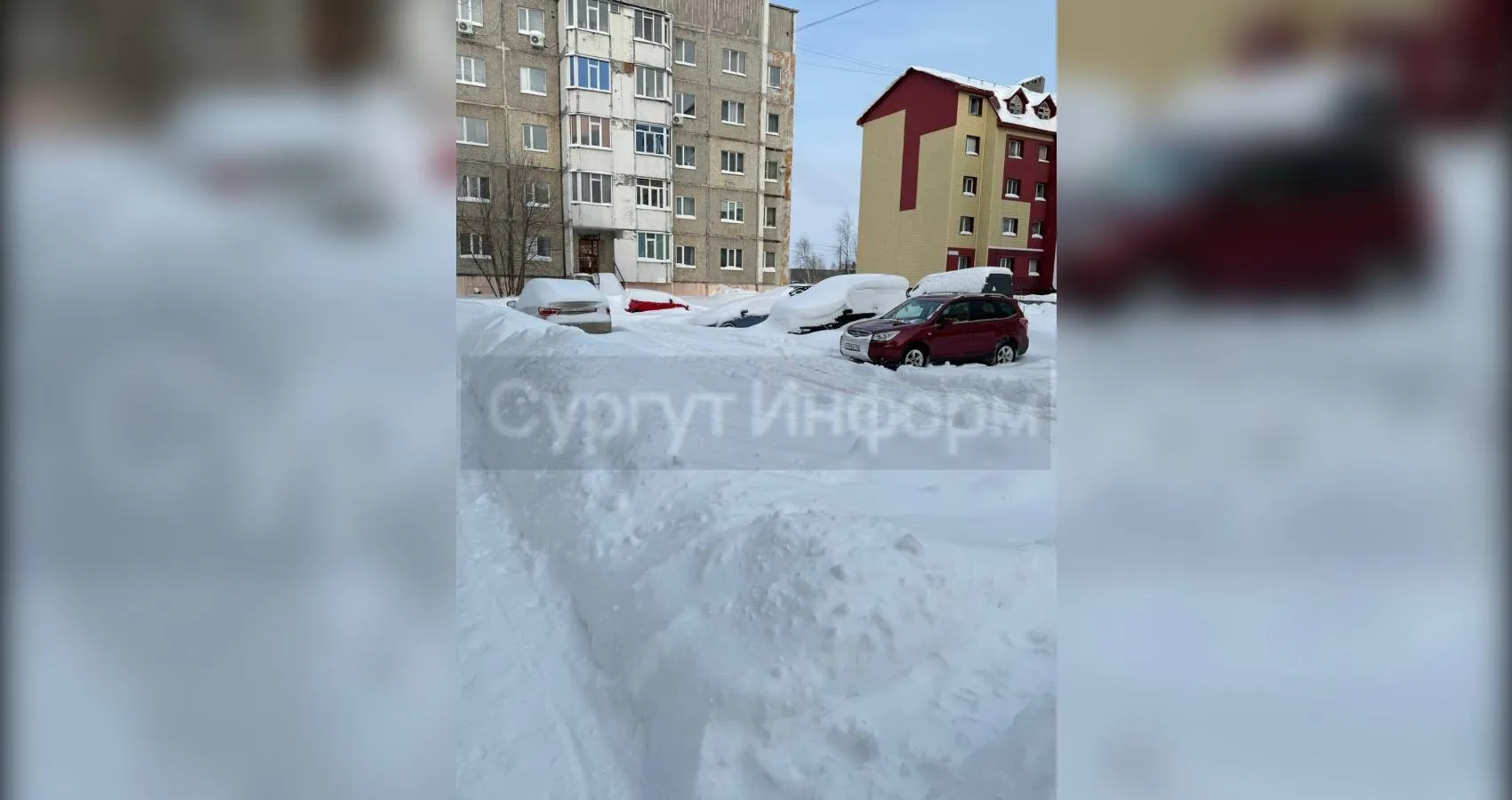 предоставлено собеседником