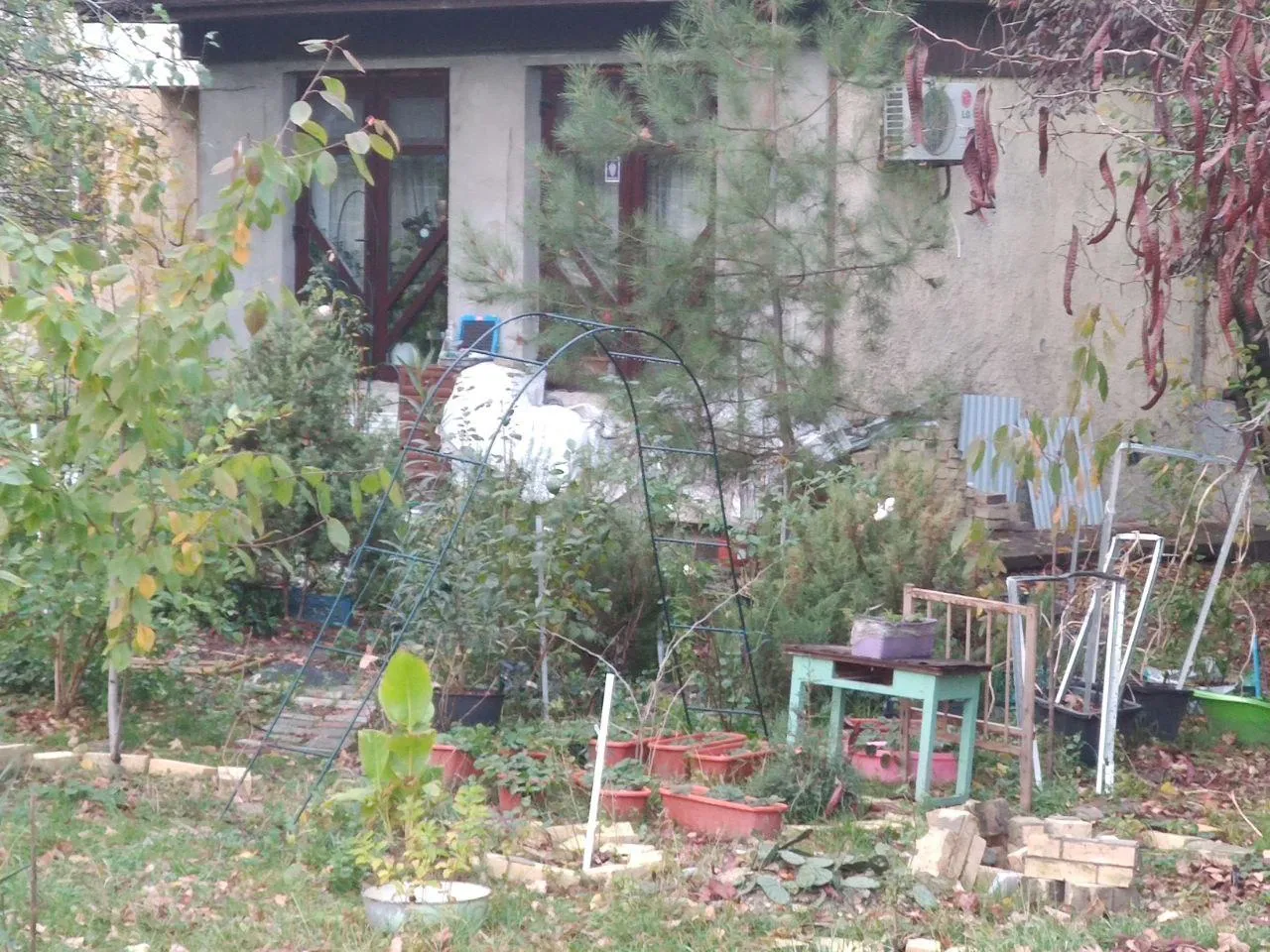 предоставлено собеседником