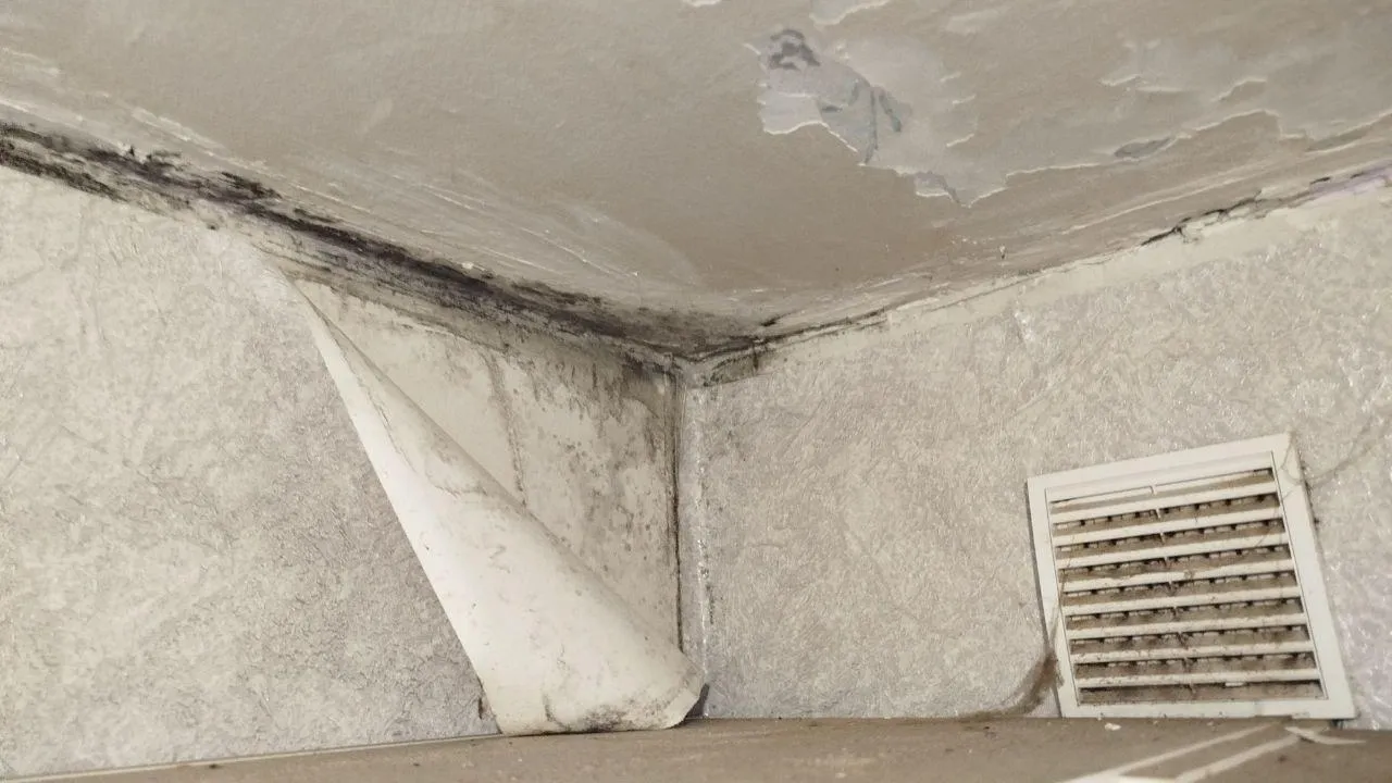 предоставлено собеседницей