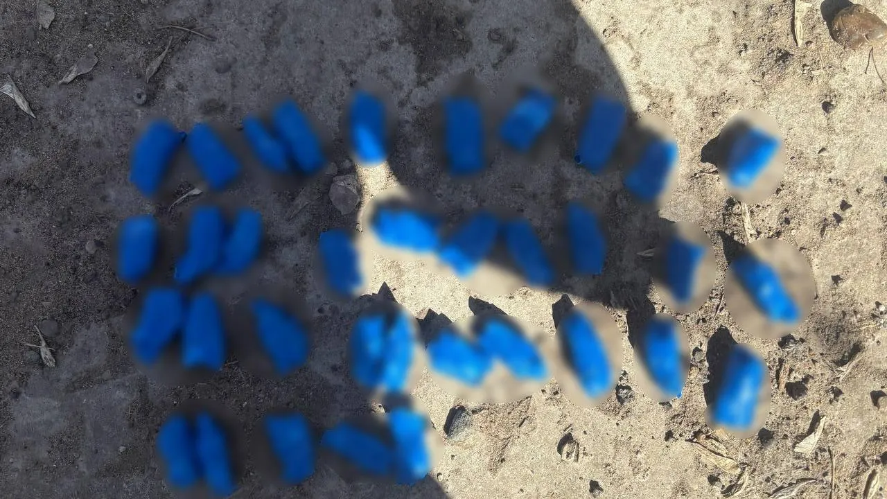 пресс-служба ГУ МВД России по Республике Татарстан