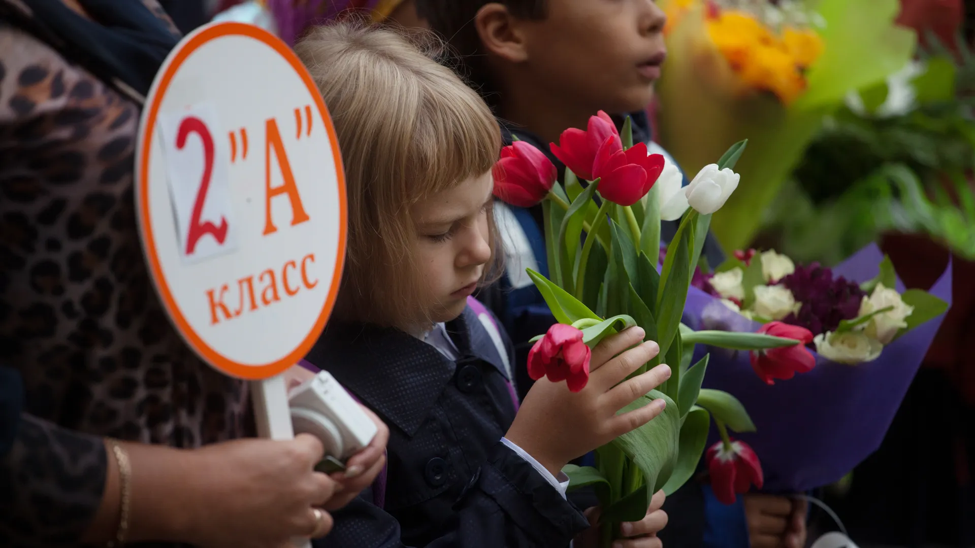 День знаний в гимназии № 17 Королева