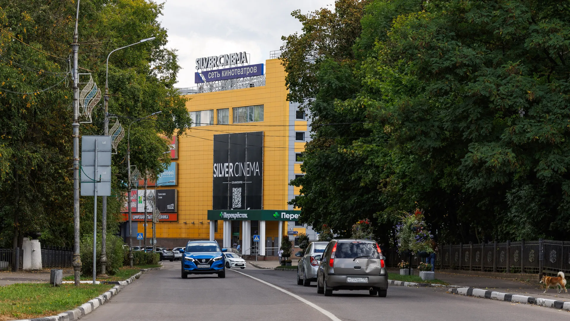 Картинка