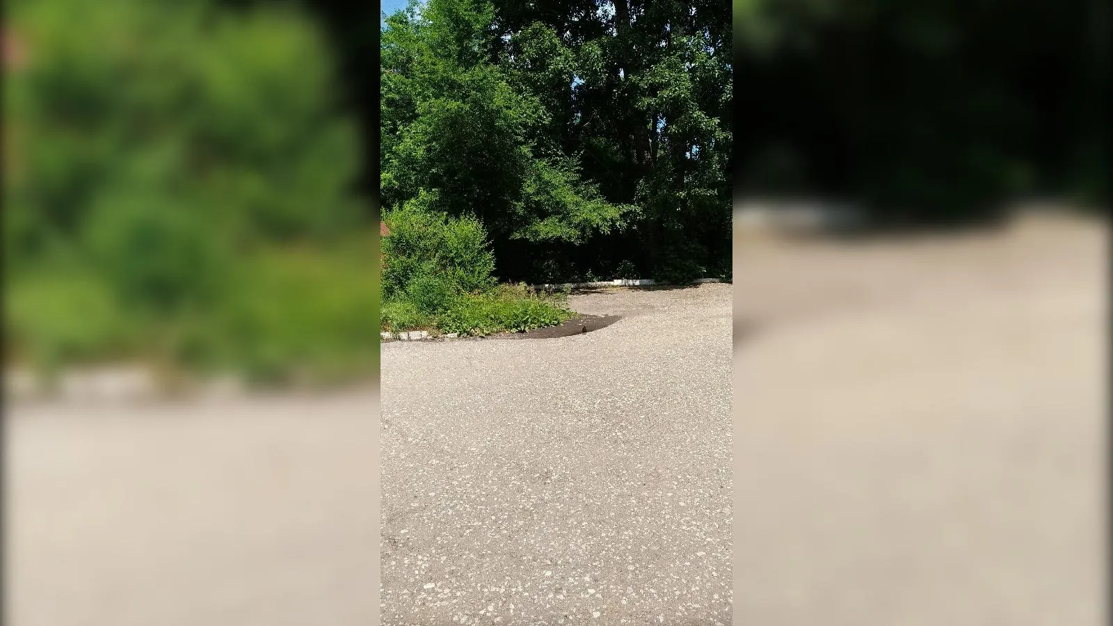 предоставлено собеседницей