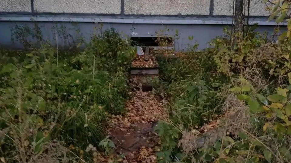 Прокуратура Архангельской области и Ненецкого автономного округа