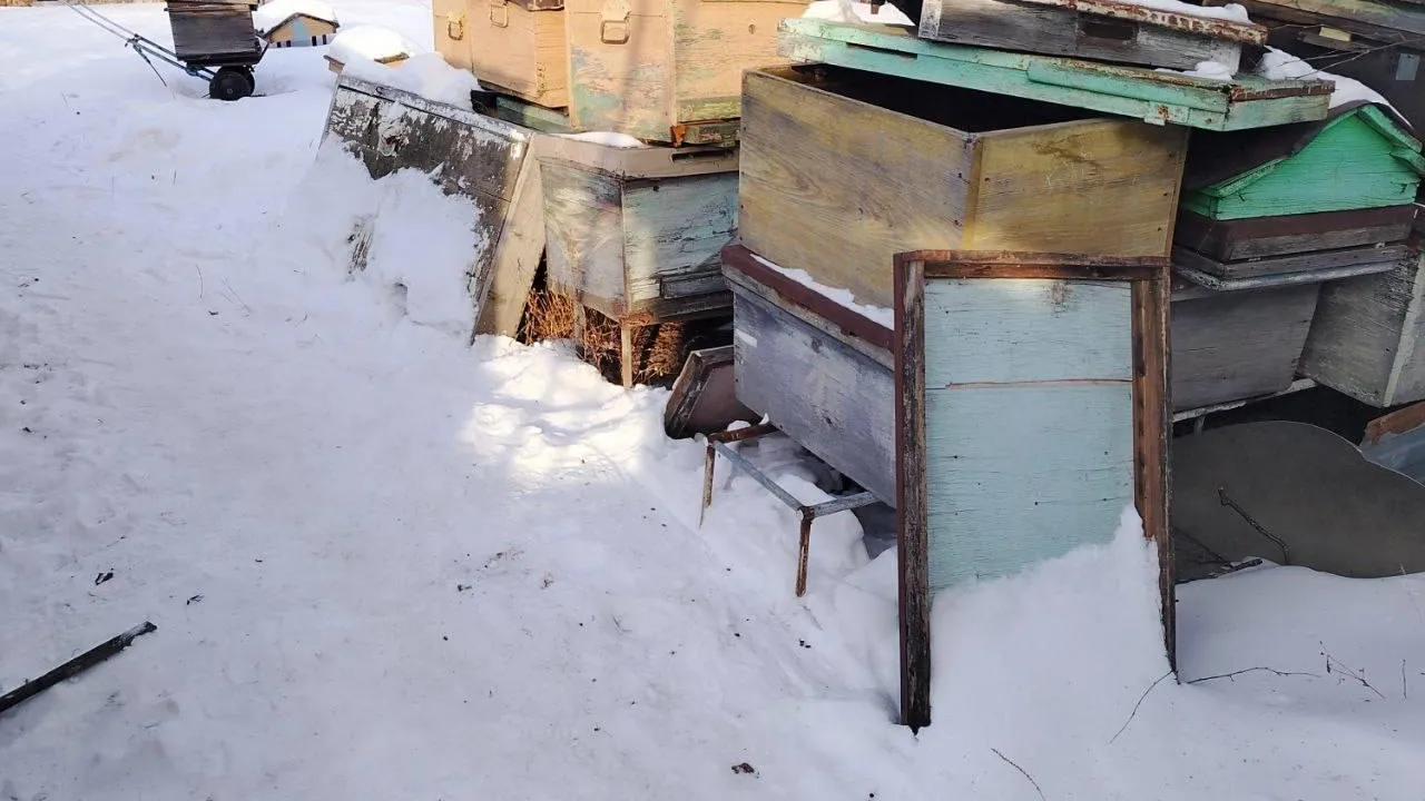 Пресс-служба полиции Хабаровского края