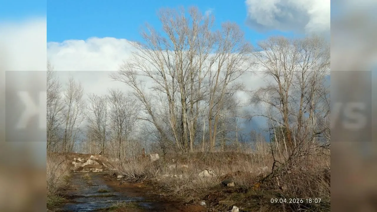 предоставлено собеседницей