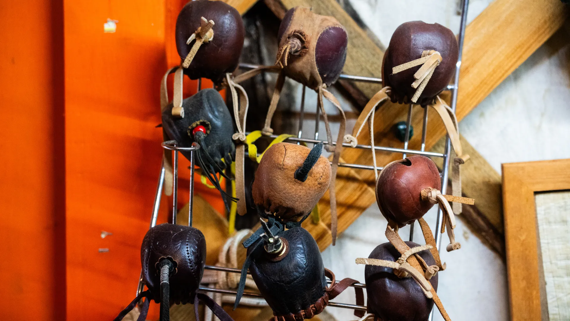 Центр соколиной охоты Константина Соколова в Мытищах