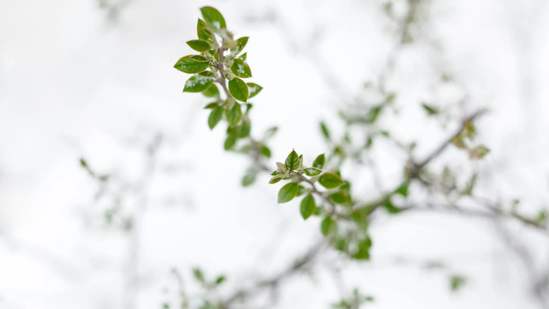Весна в городе Дзержинский