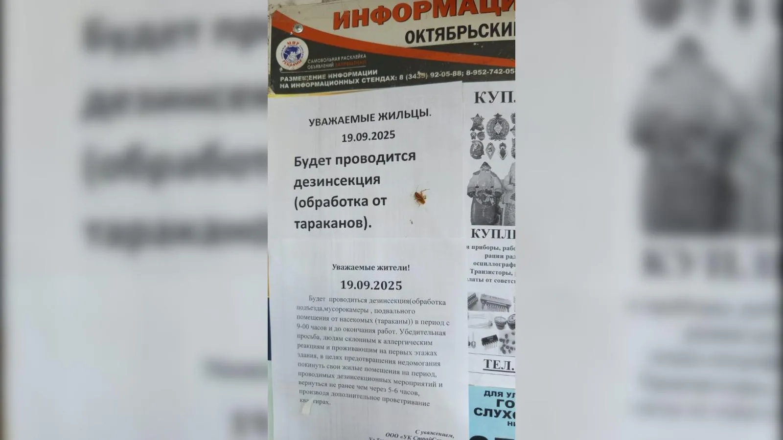 предоставлено собеседницей