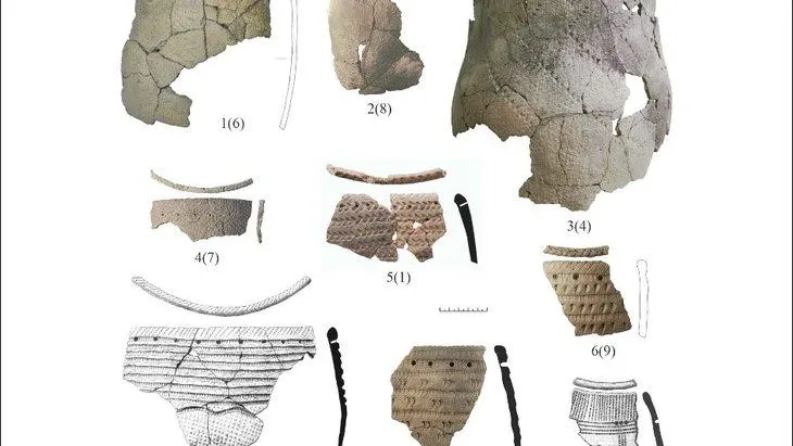 Образцы черепков глиняной посуды времен неолита. Фотография предоставлена исследователем (Денис Рогозин)