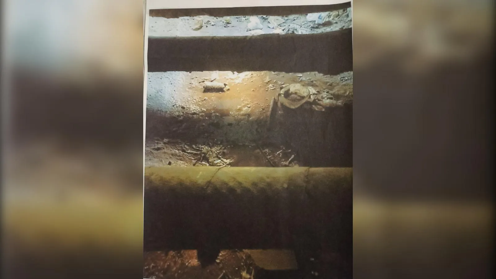 предоставлено собеседницей