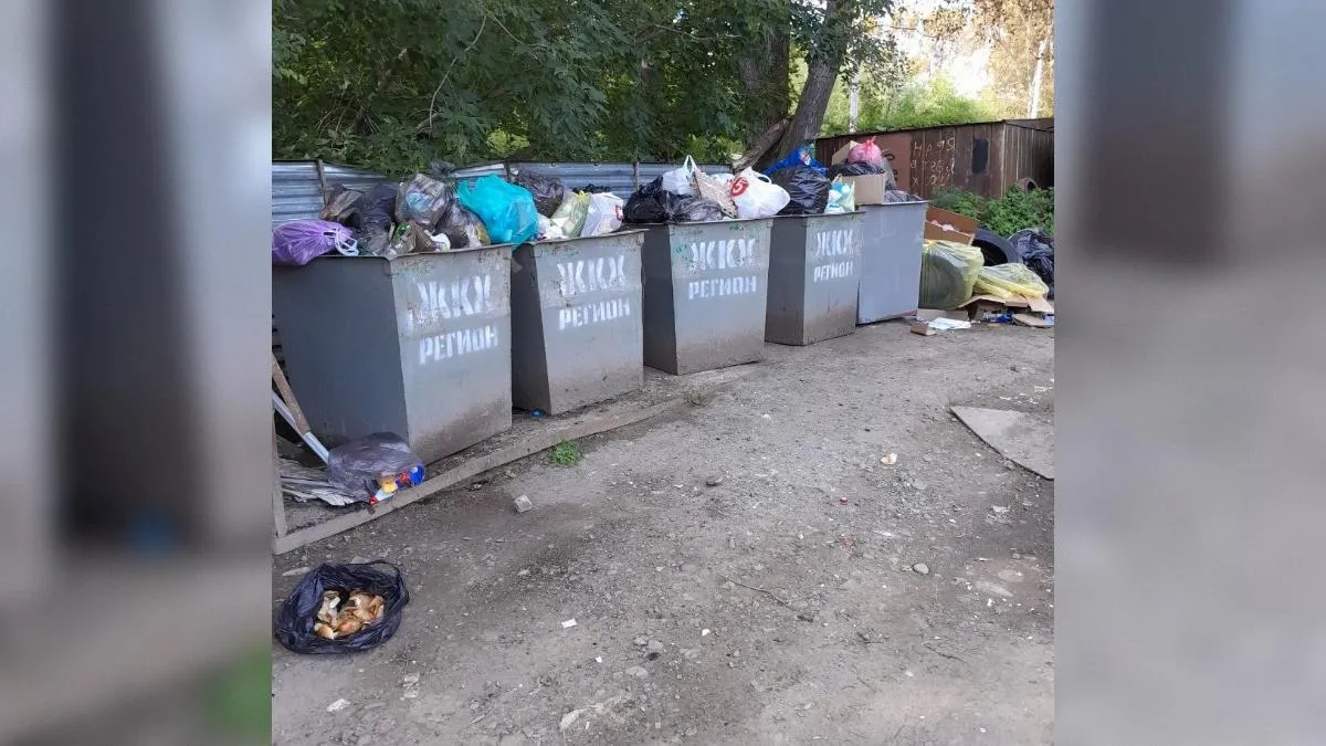 предоставлено собеседницей