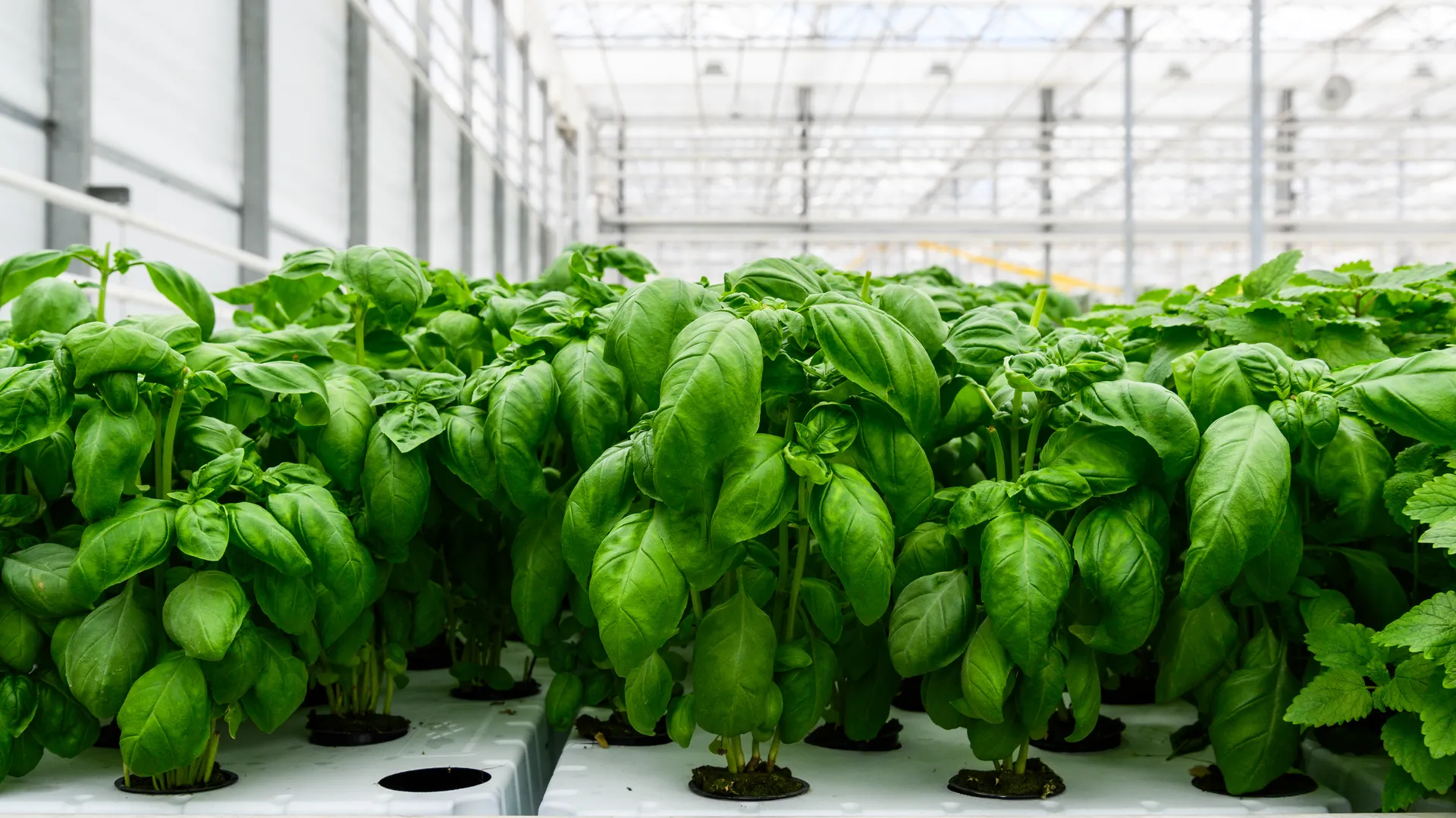 Медиасток.рф