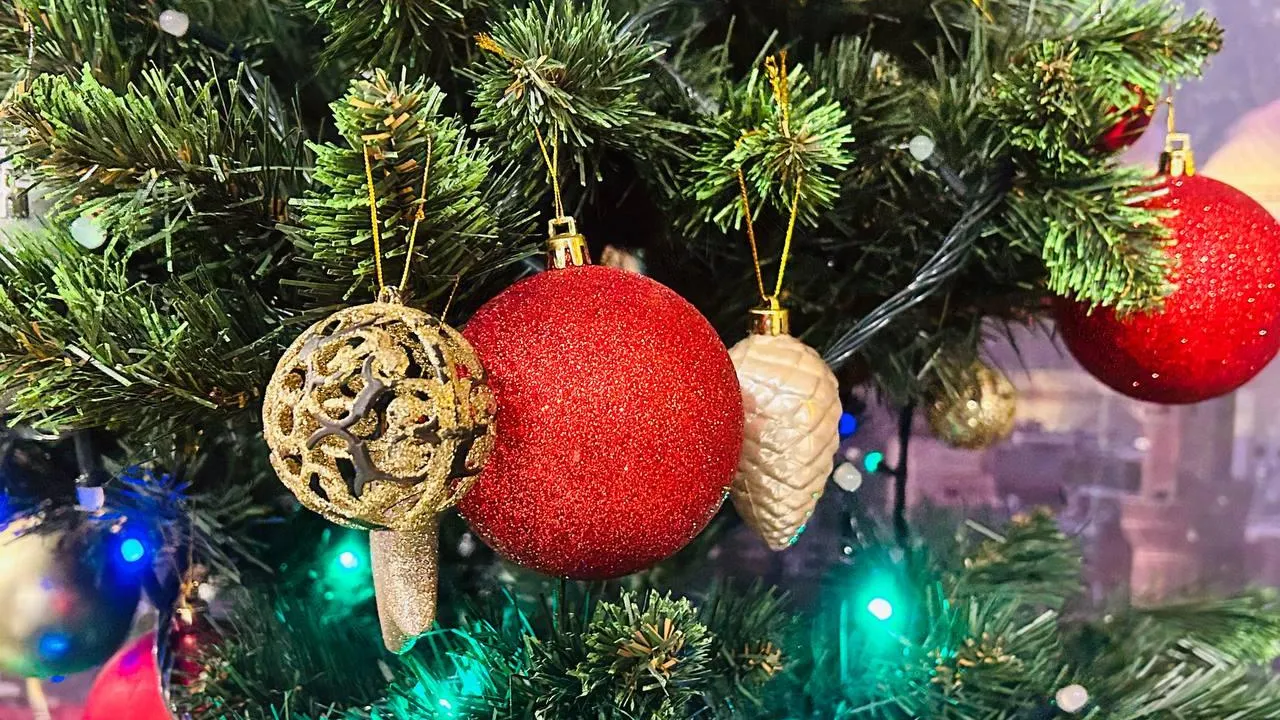 «МагниткаМедиа» / Екатерина Волкова