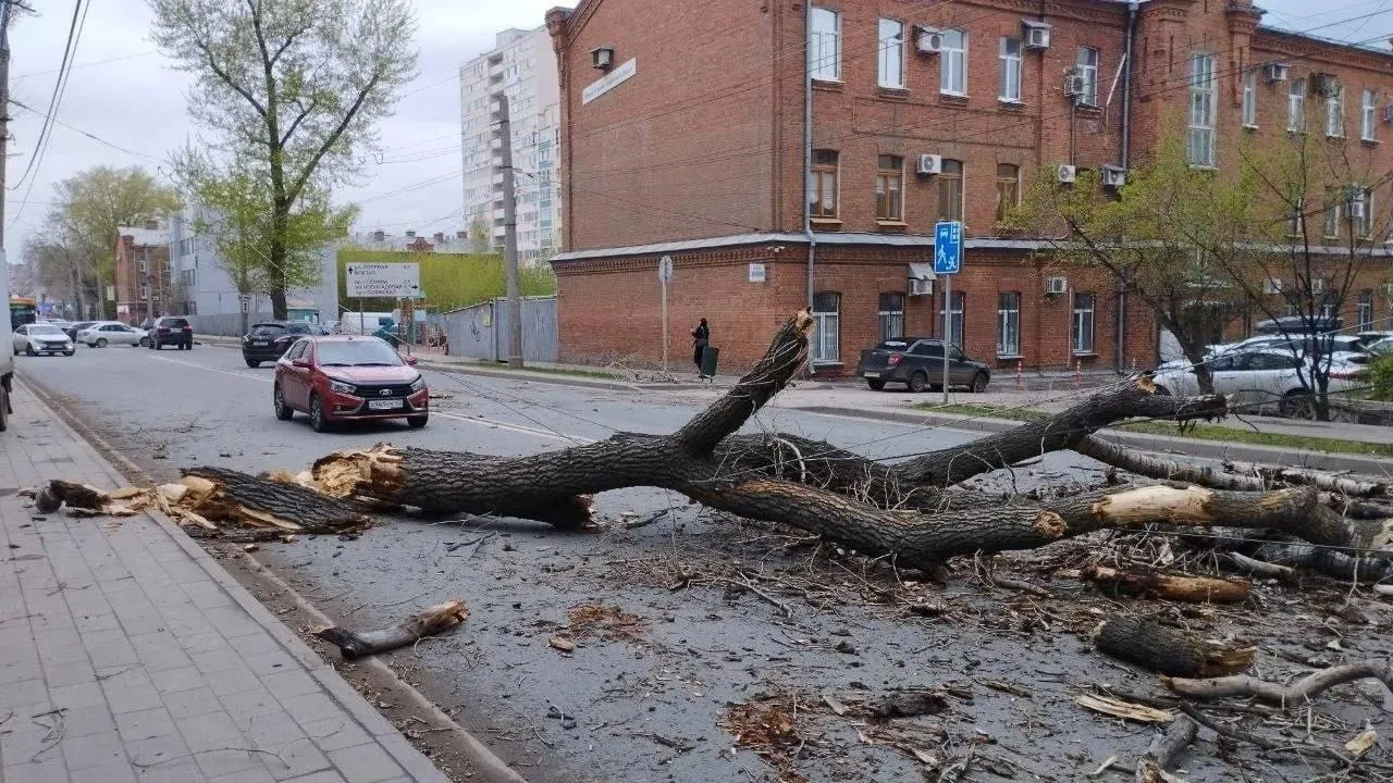 Телеграм-канал Baza