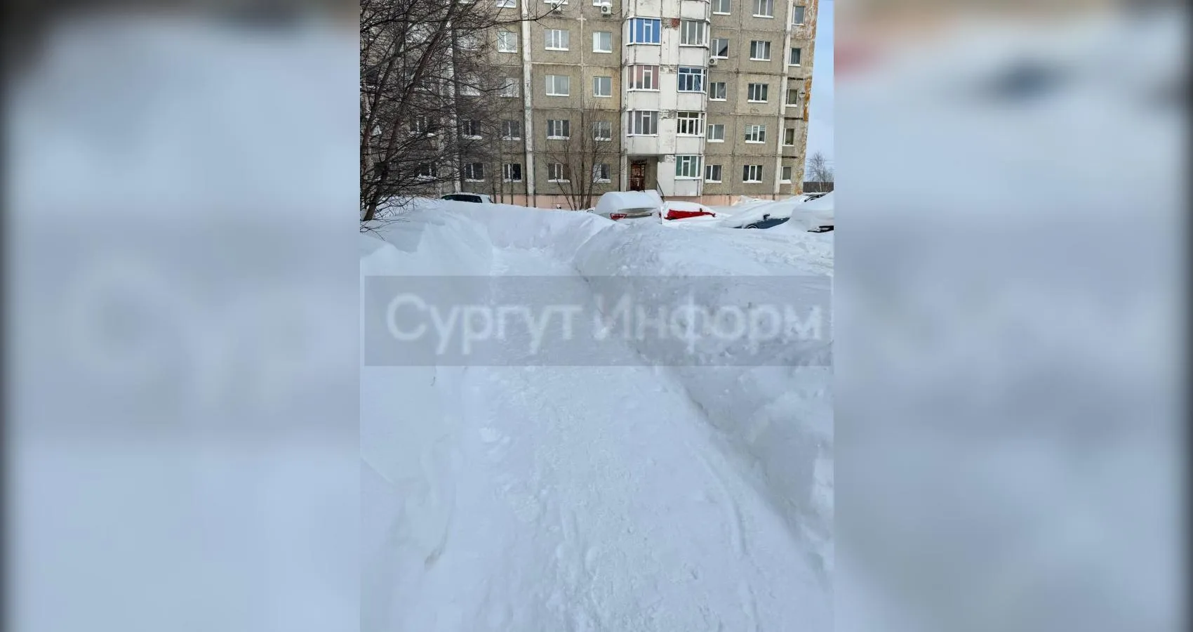 предоставлено собеседником