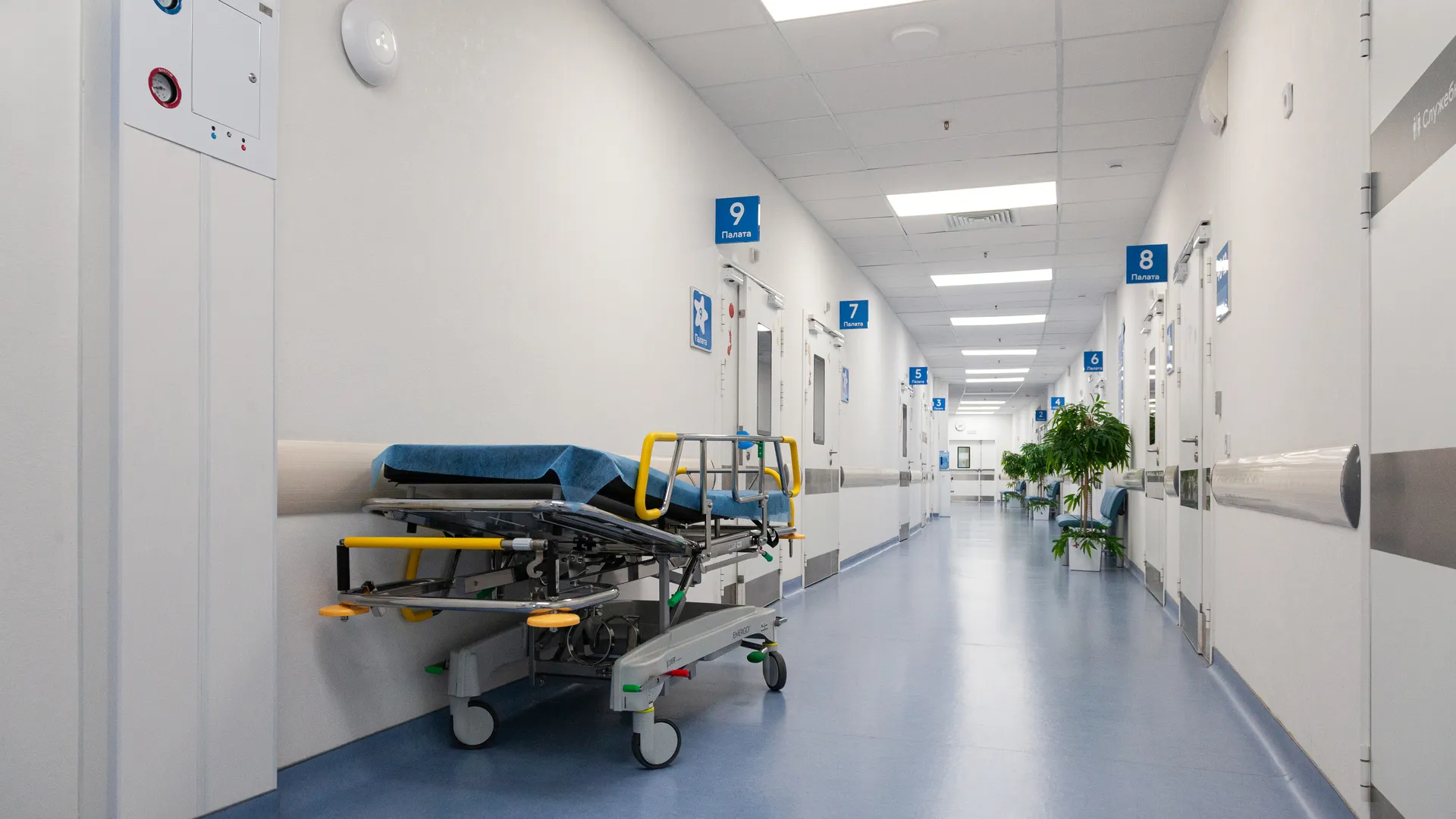 Медиасток.рф