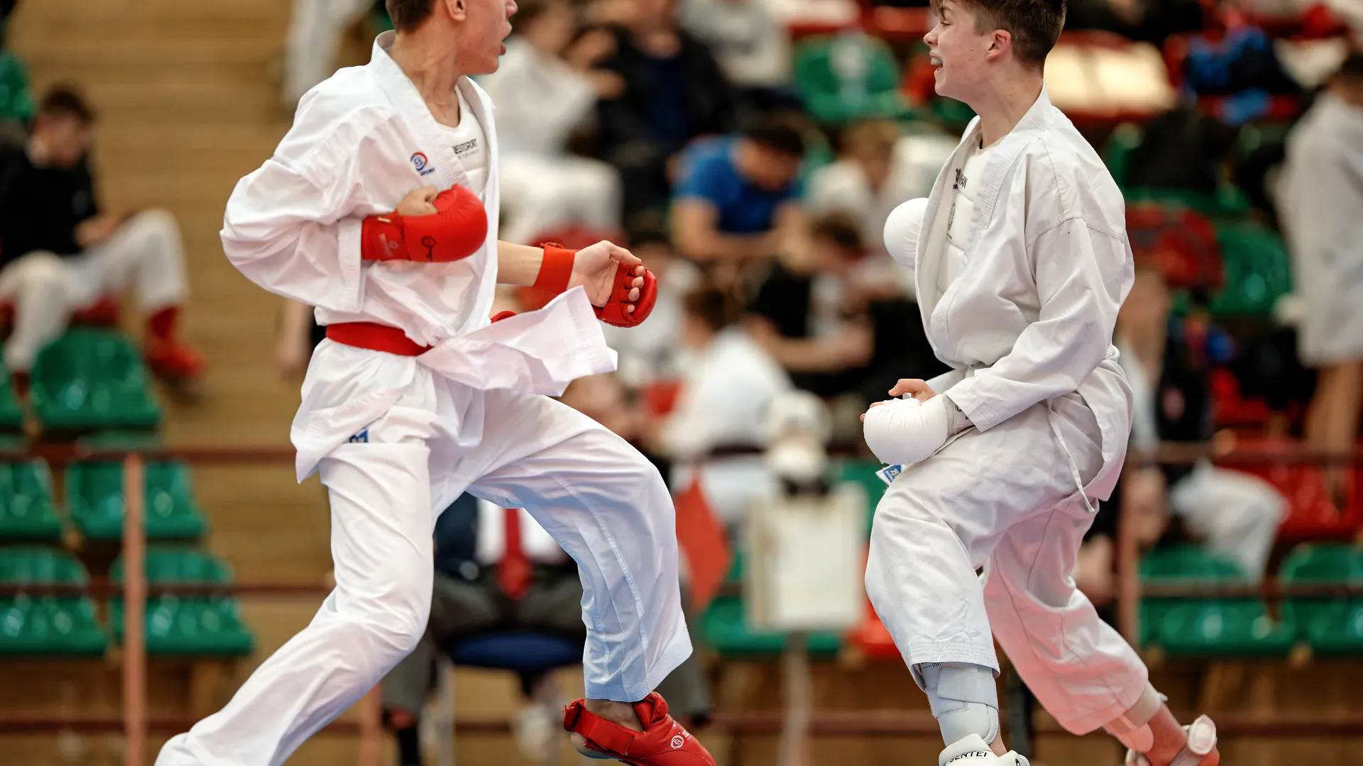 Всероссийские соревнования по восточному боевому единоборству Open Russia Shito-ryu в Лобне