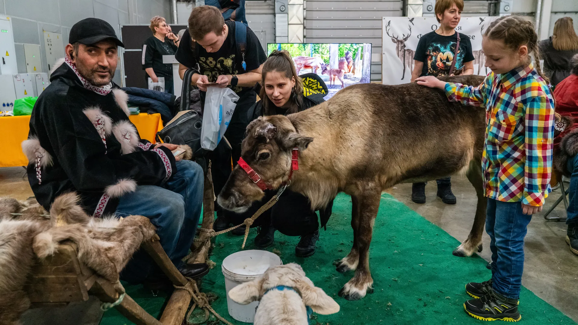 Фестиваль любви к домашним животным «Зоофест эко 2026» в «Крокус Экспо» в Красногорске