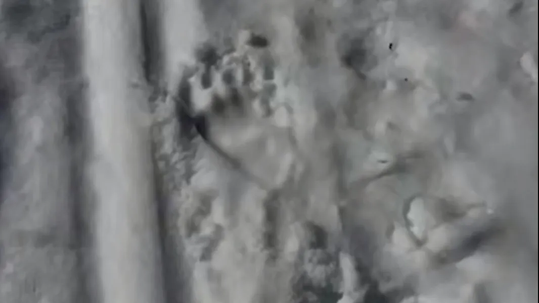 Telegram-канал Mash Siberia