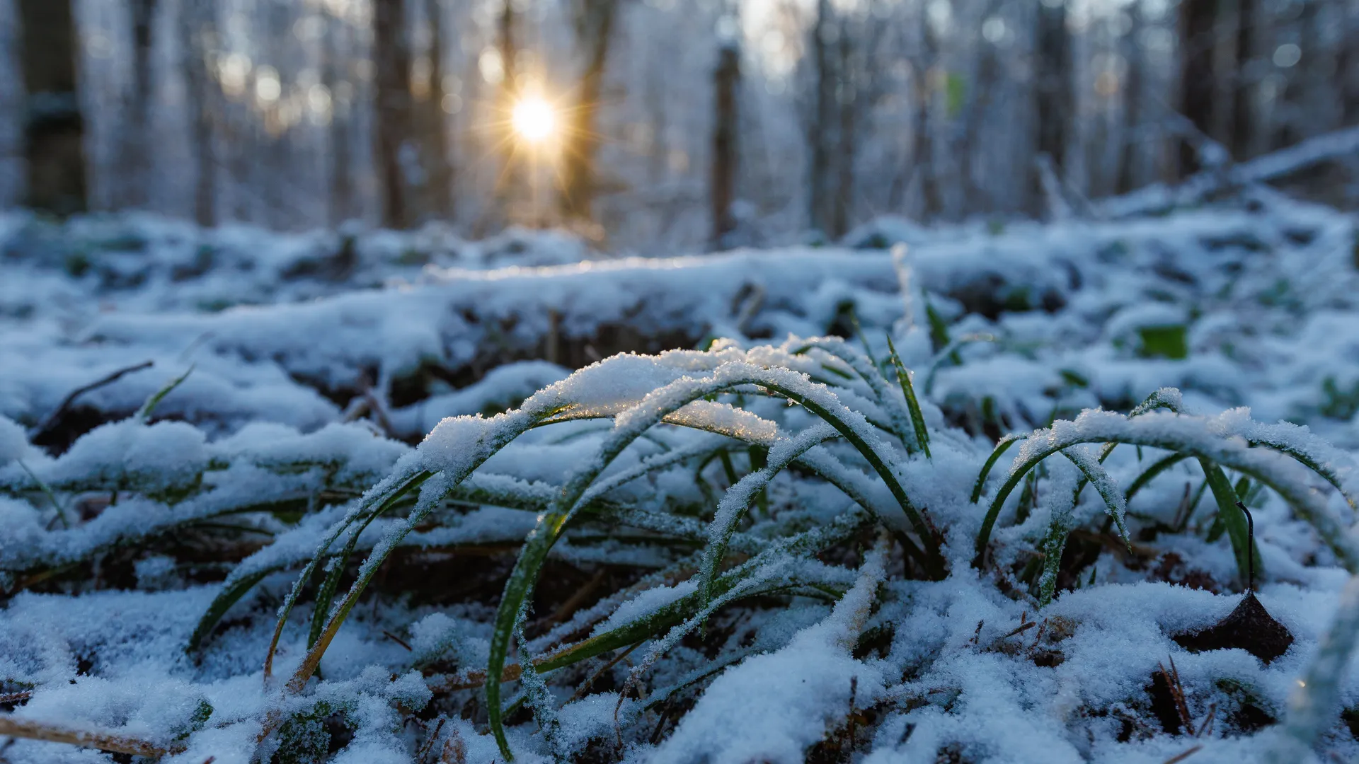 Зима наступила в Подмосковье