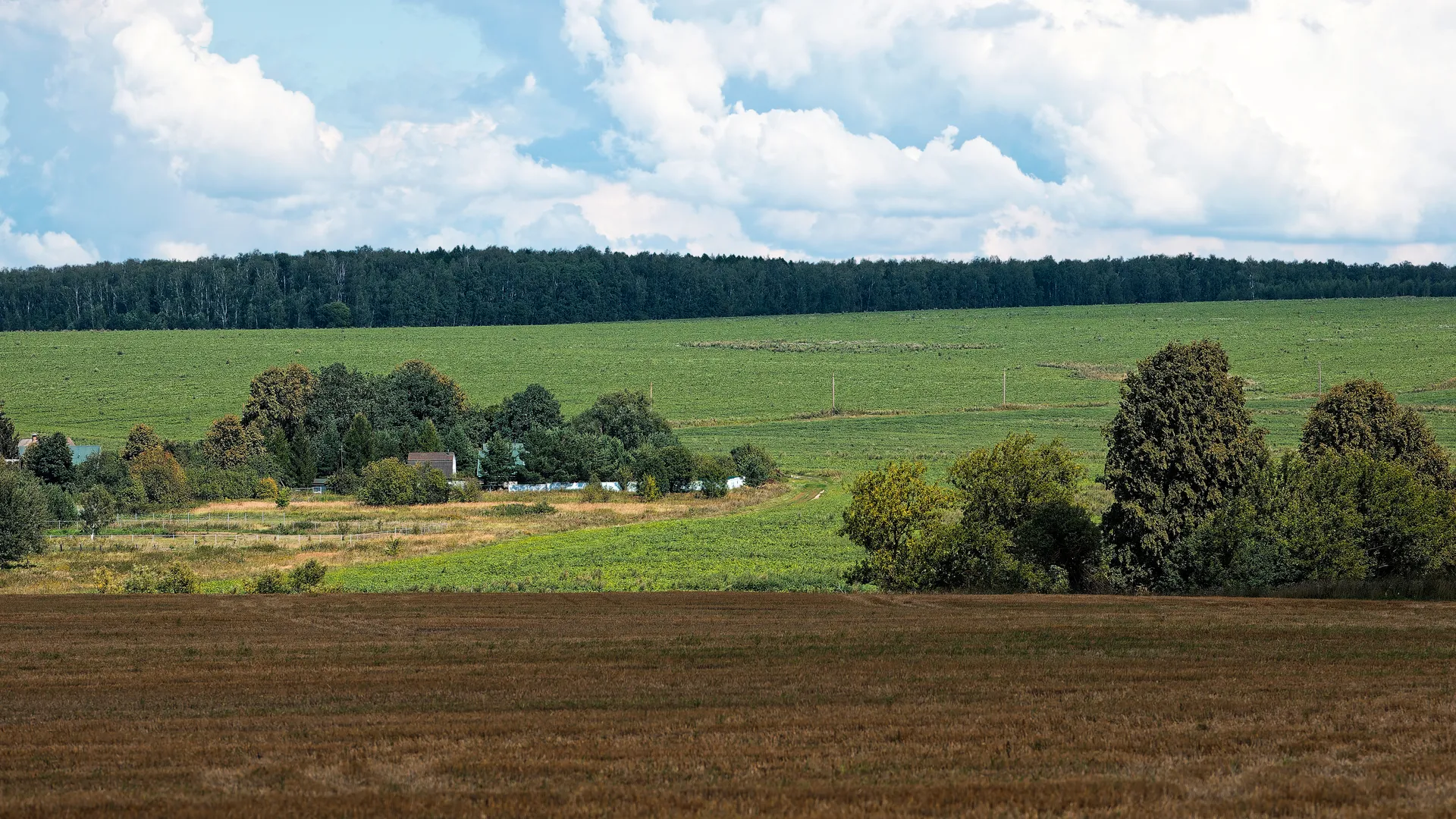 Медиасток.рф