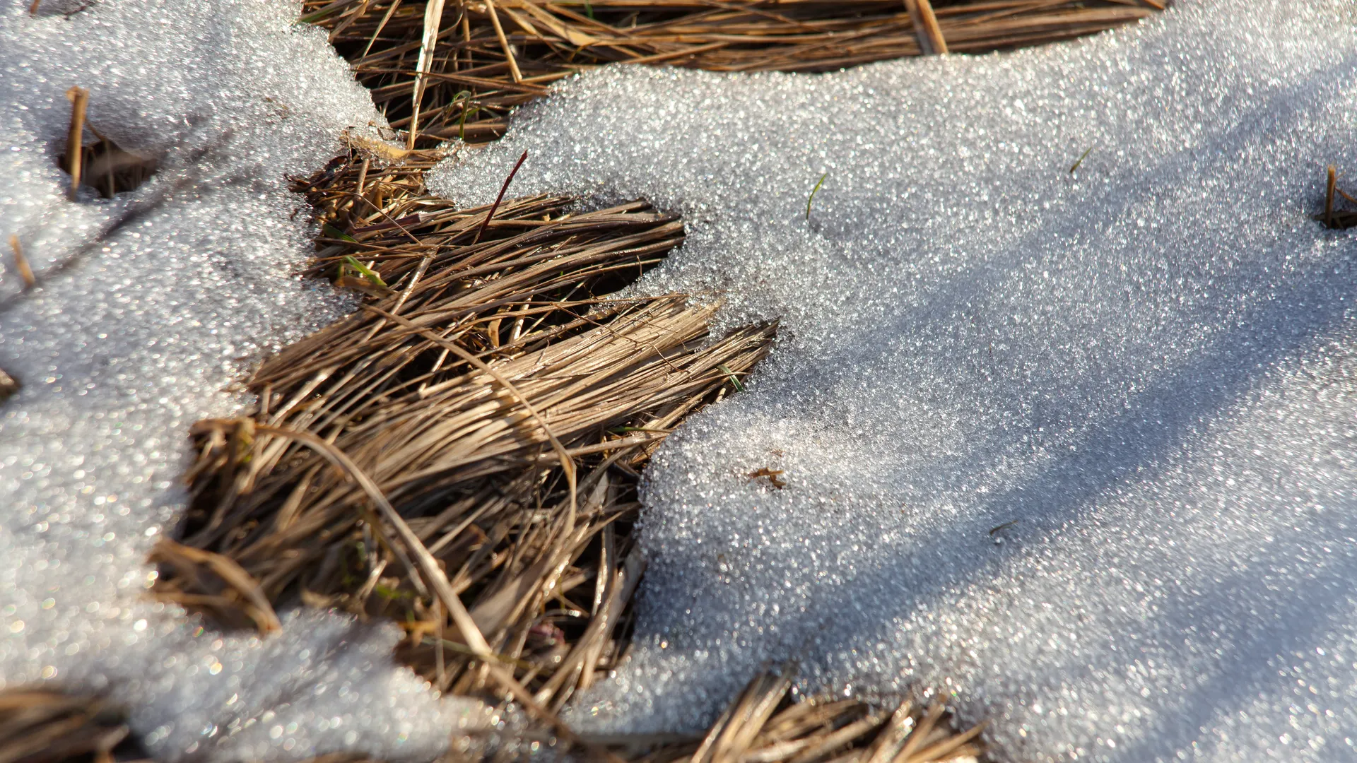 Весна в городе Дзержинский